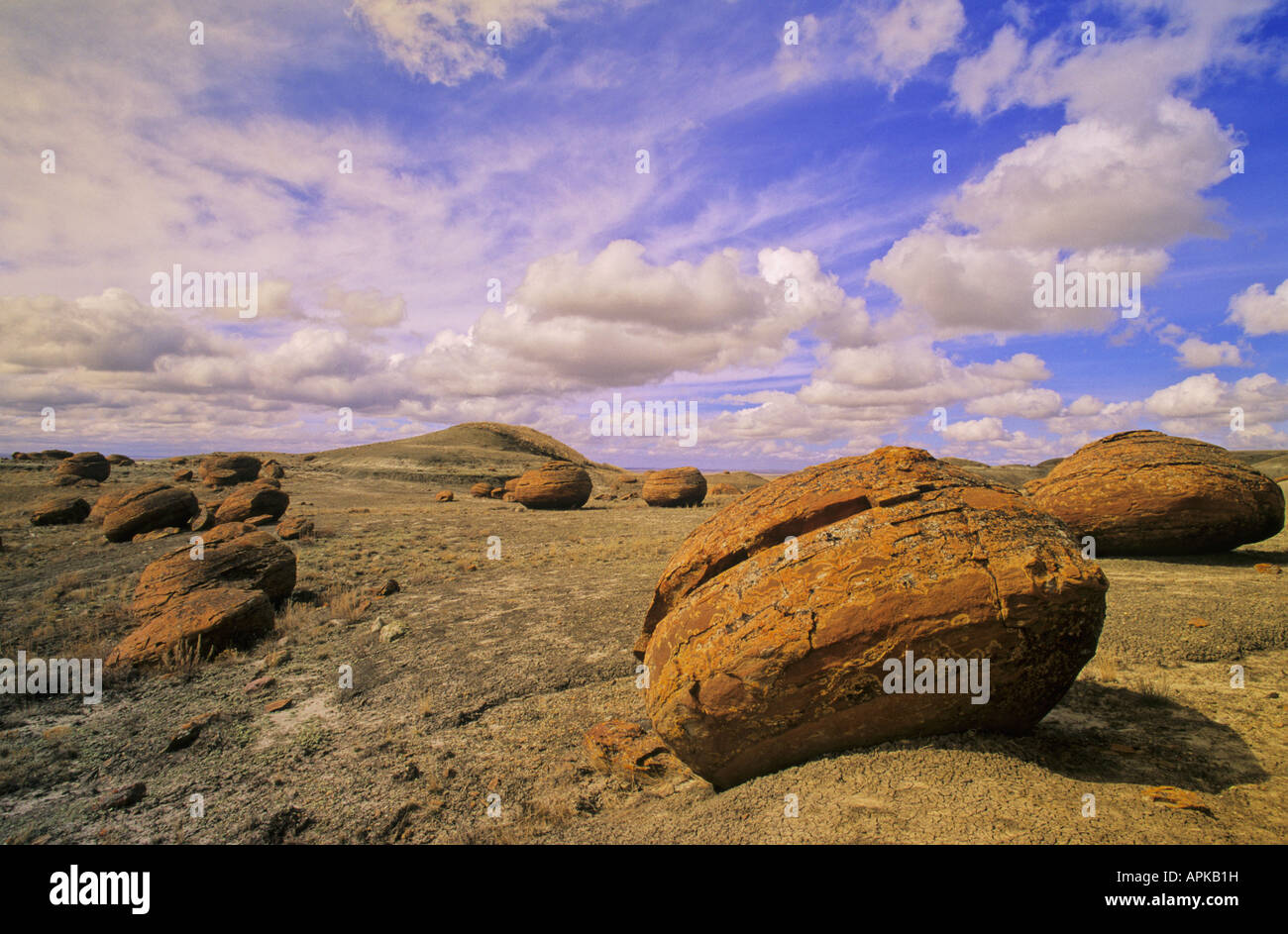 Roten Felsen Coulee Naturschutzgebiet Süd-Alberta Kanada Stockfoto