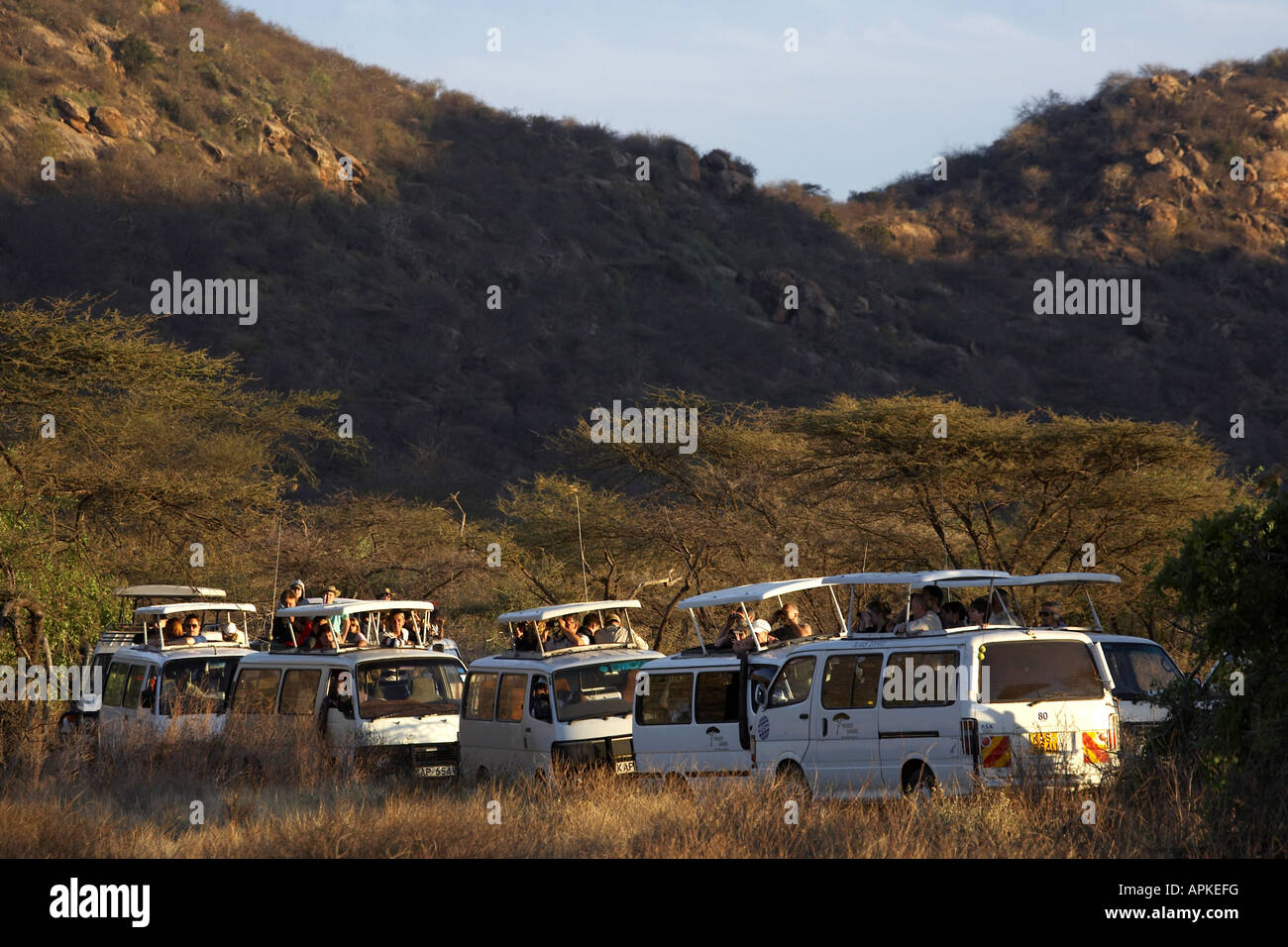 Stau - Touristenbusse während einer Safari in der Savanne, Kenya, Samburu National Reserve, Isiolo Stockfoto