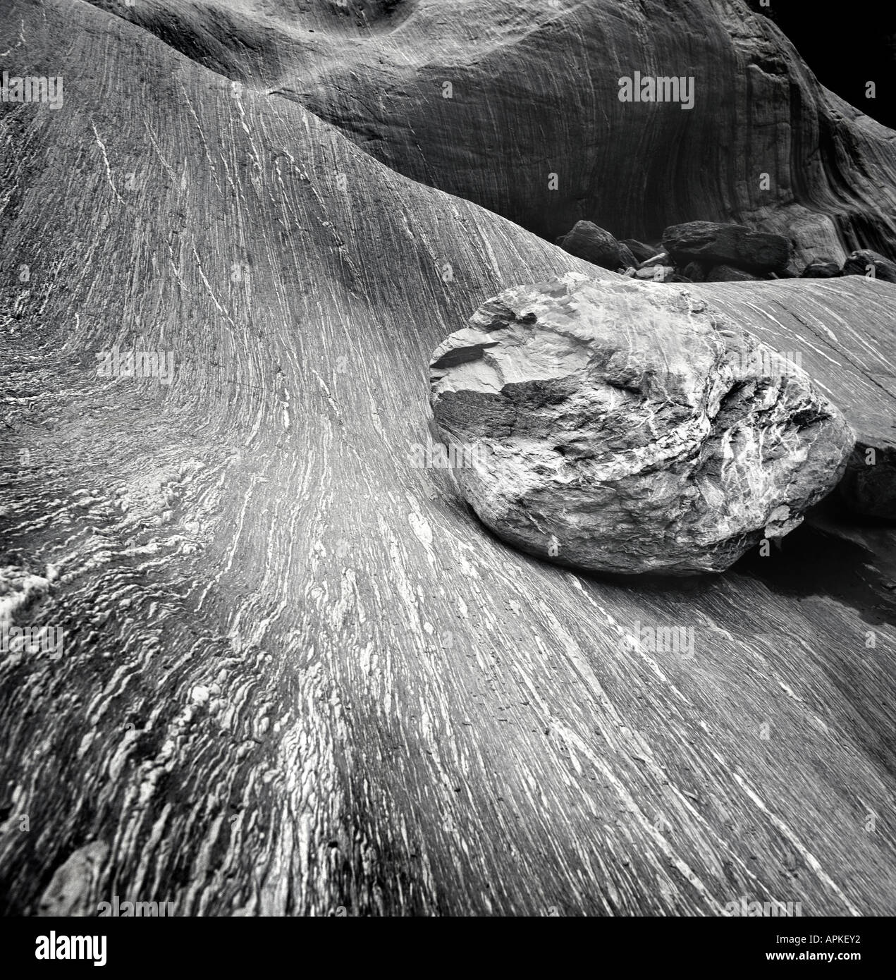 Rock am gestreiften kurvige Sandstein, Coyote Buttes, Arizona, USA Stockfoto