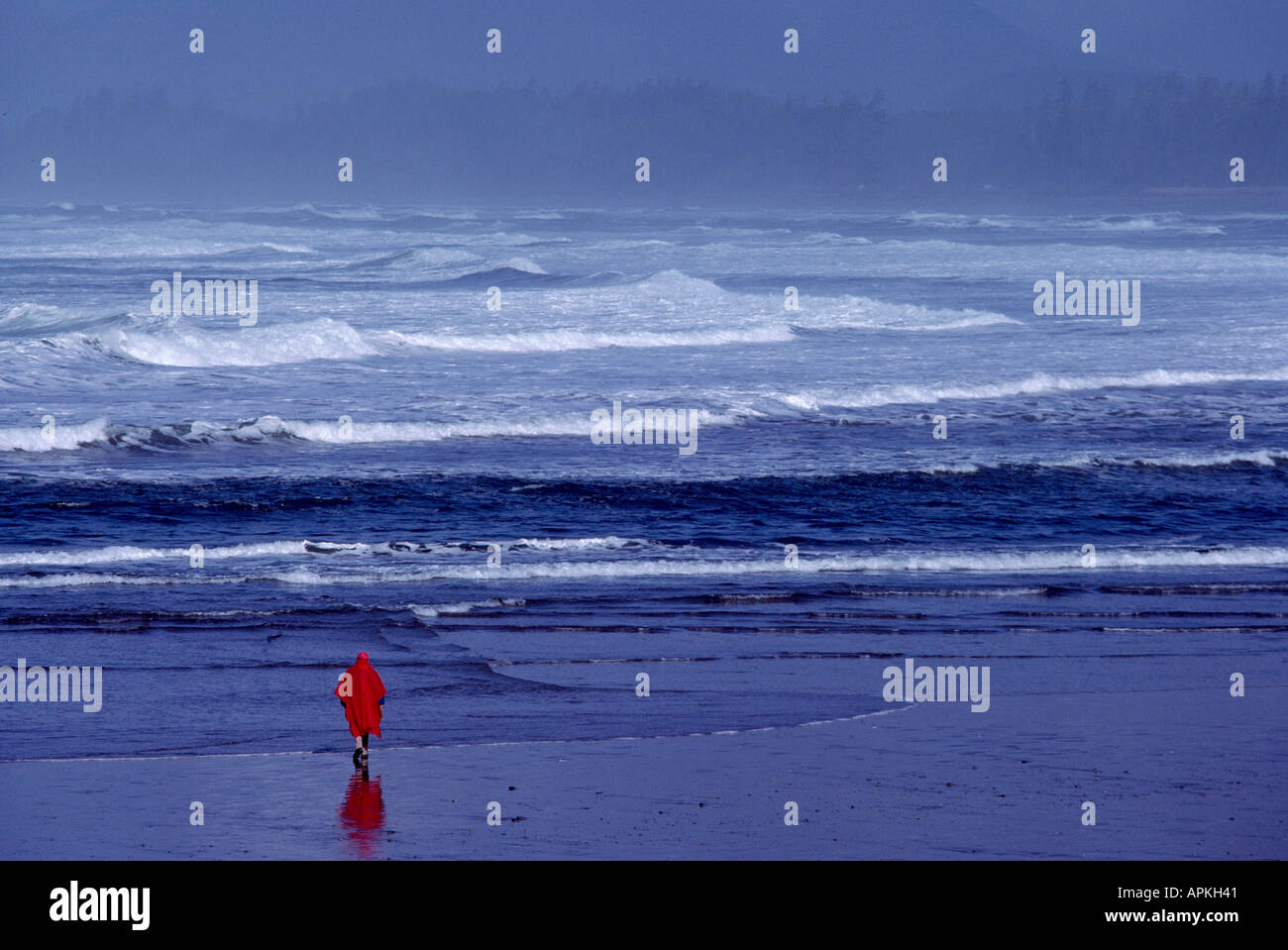 Walking am Strand an der pazifischen Westküste von Vancouver Island in der Nähe von Long Beach in British Columbia Kanada Stockfoto