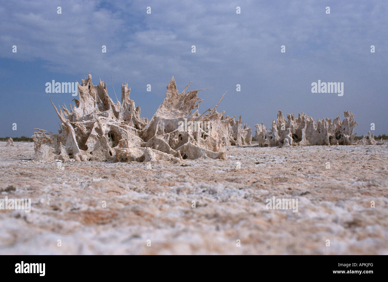 bizarren Formen in einem Salzsee, Usbekistan, Buchara, Kysylkum Stockfoto