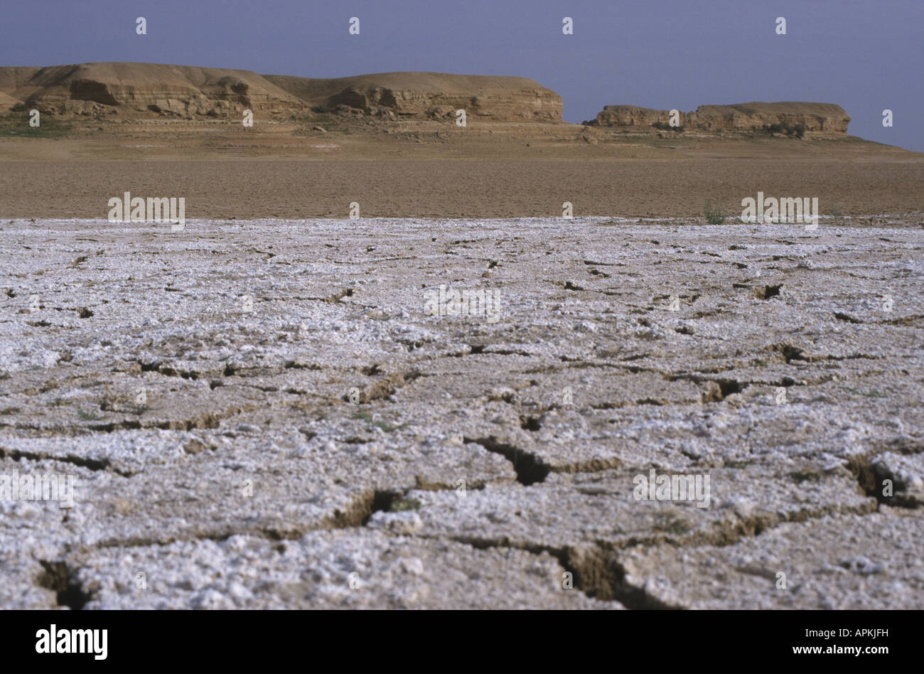 Salzsee ausgetrocknet, Usbekistan, Buchara, Kysylkum Stockfoto