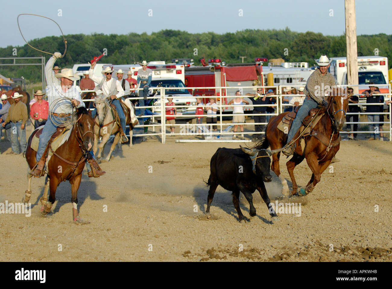 Cowboys teilnehmen im Rodeo Kalb roping event Stockfoto