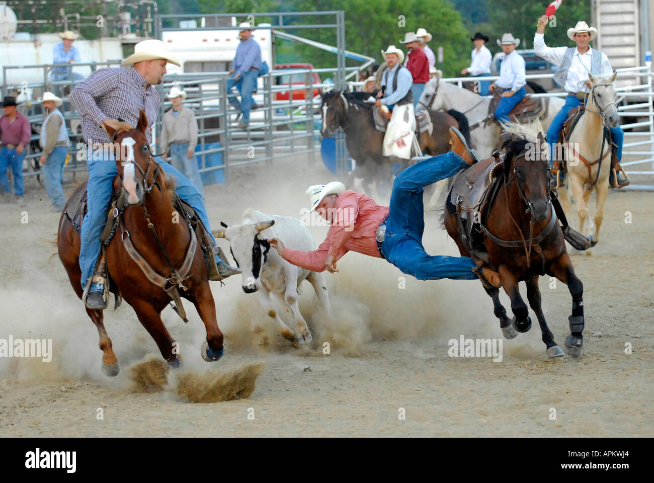 Cowboys teilnehmen im Rodeo Bull Doggy Style event Stockfoto