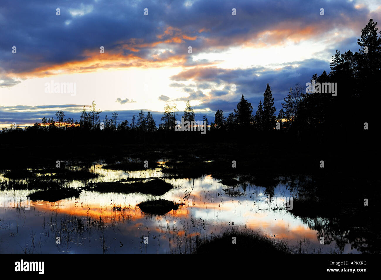 Abend Stimmung auf einem Sumpf in der Nähe von Gaellivare, Schweden, Lappland und Norrbotten Stockfoto