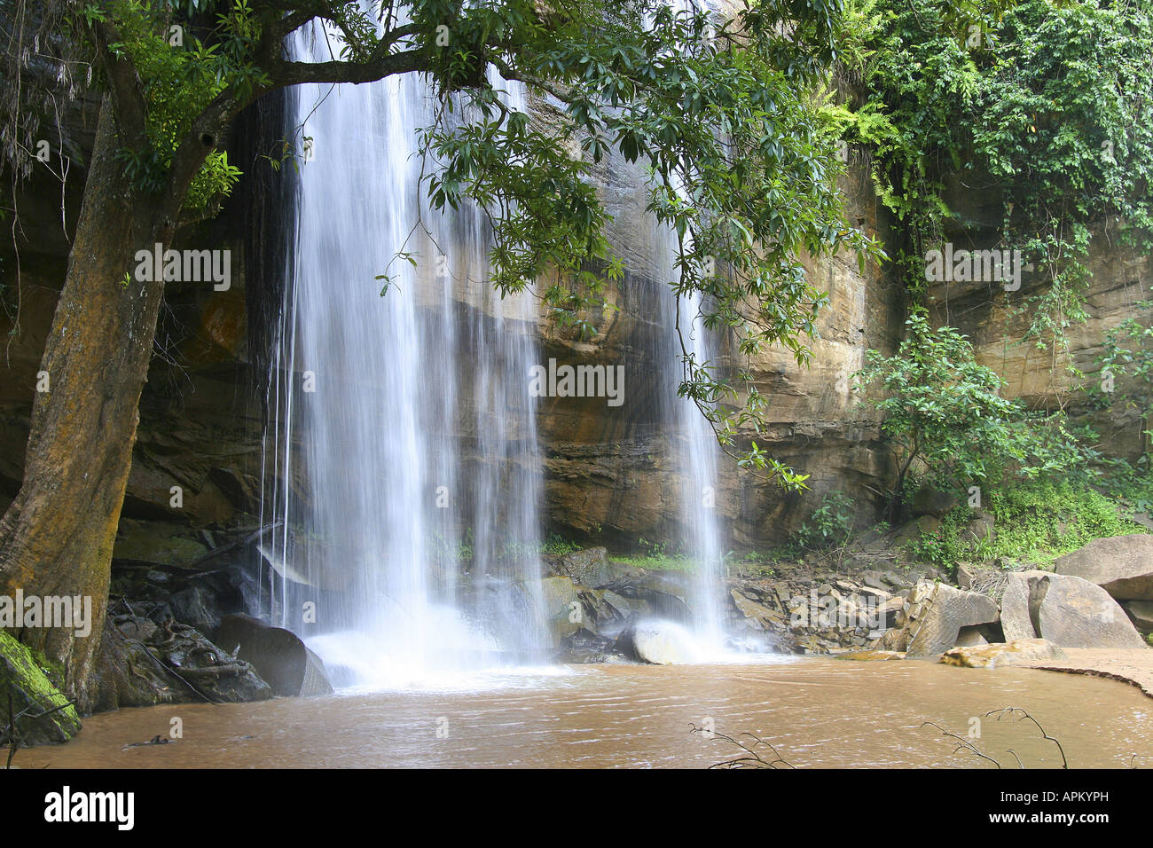 Sheldrik-Wasserfall, Kenia, Shimba Hills Nationalpark Stockfoto