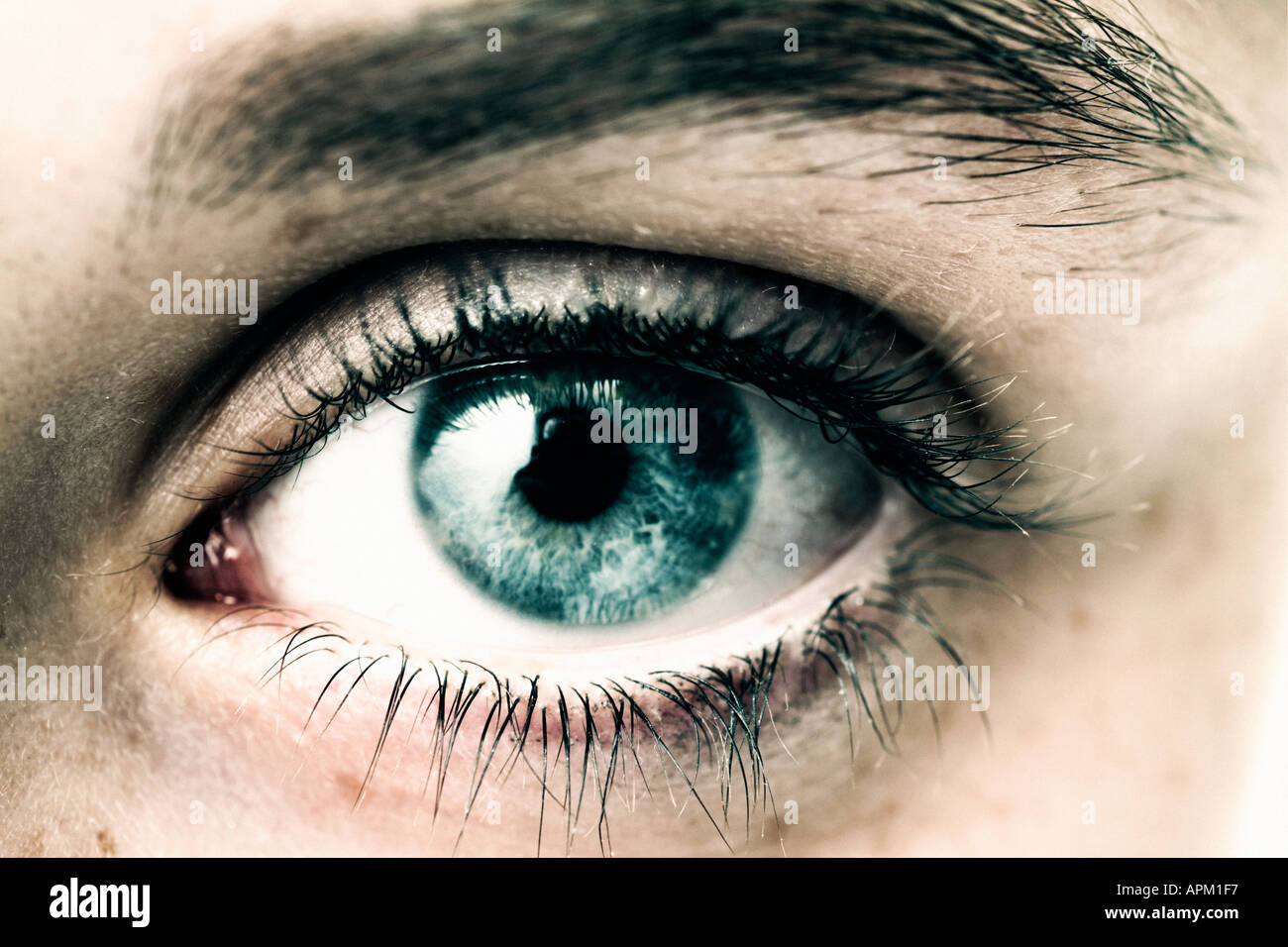 Das Menschliche Auge Stockfotos und -bilder Kaufen - Alamy