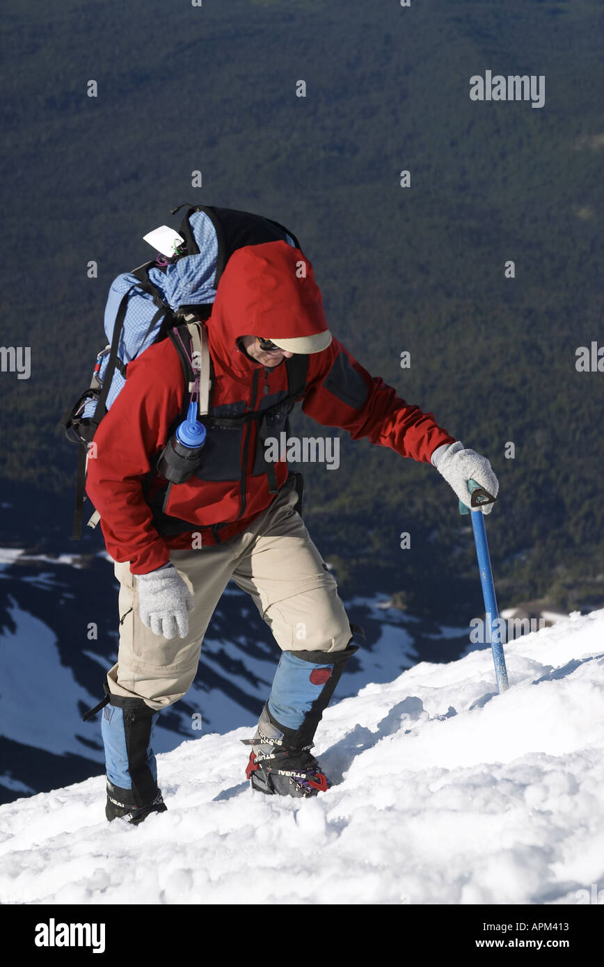 Mann in rote Jacke Klettern Schnee auf Mount Adams Yakima County Cascade Mountains Washington USA Stockfoto