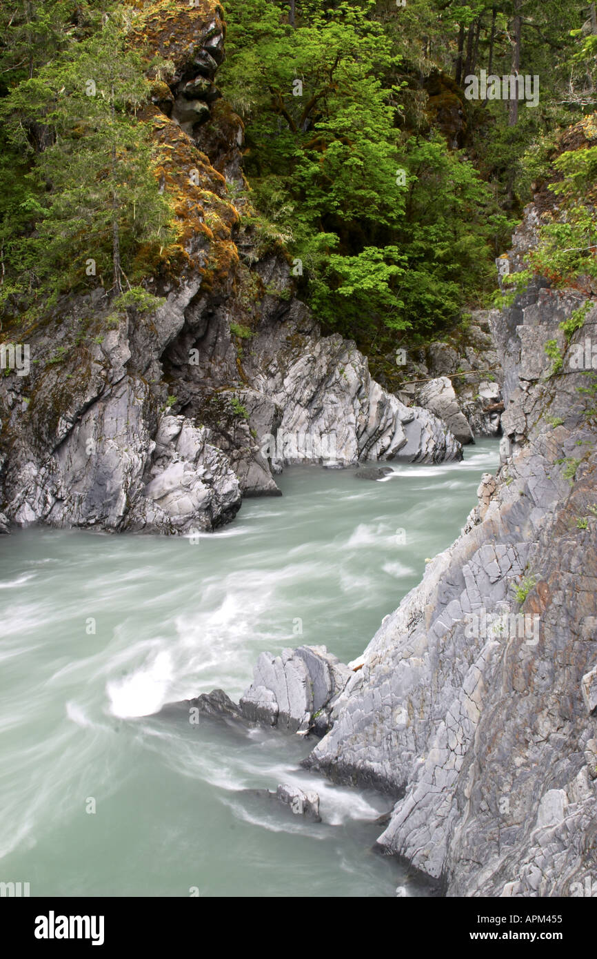 Der Elwha-Fluss fließt durch Goblin Gate Rica Canyon Trail Olympic Nationalpark Washington USA Stockfoto