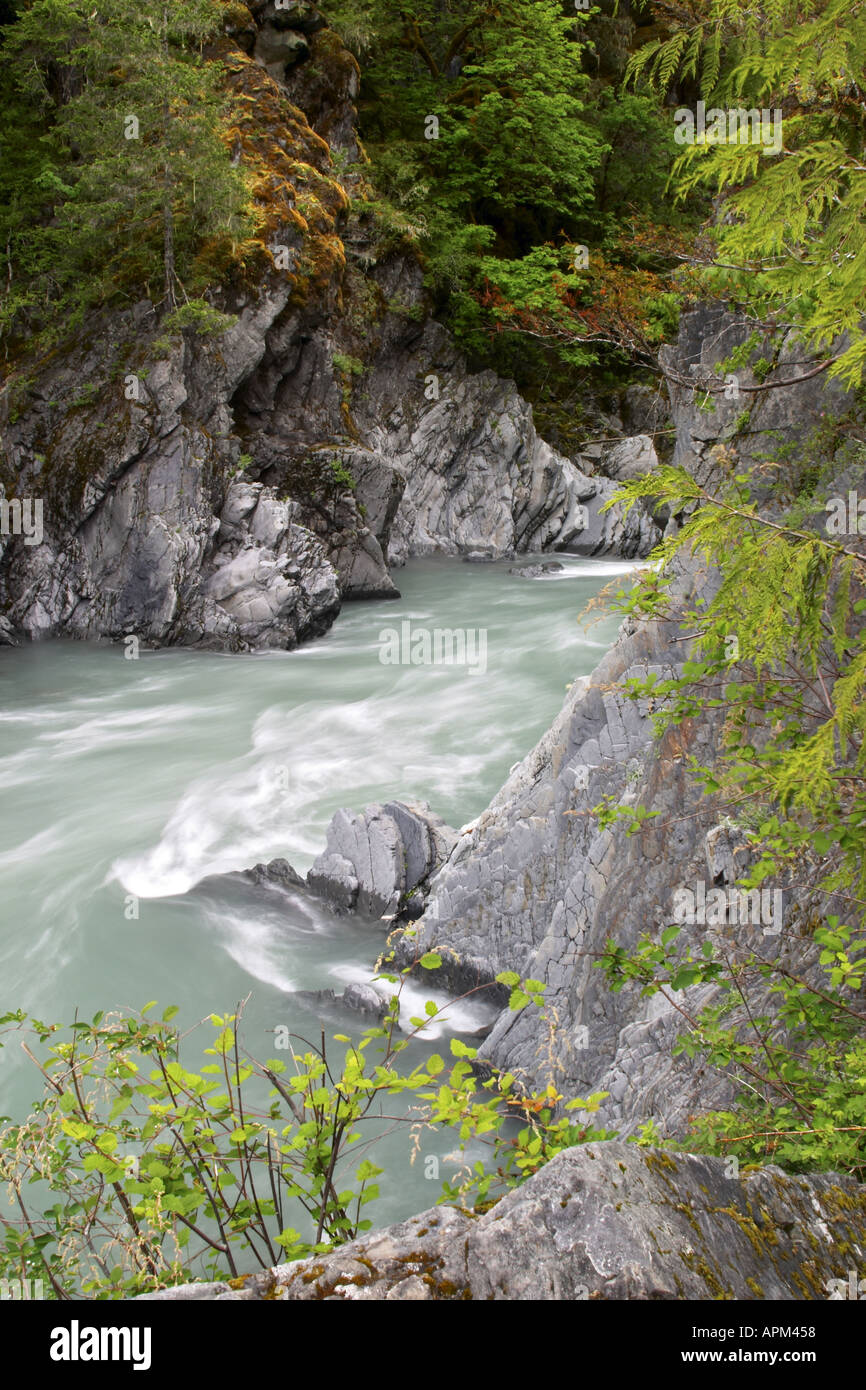 Der Elwha-Fluss fließt durch Goblin Gate Rica Canyon Trail Olympic Nationalpark Washington USA Stockfoto