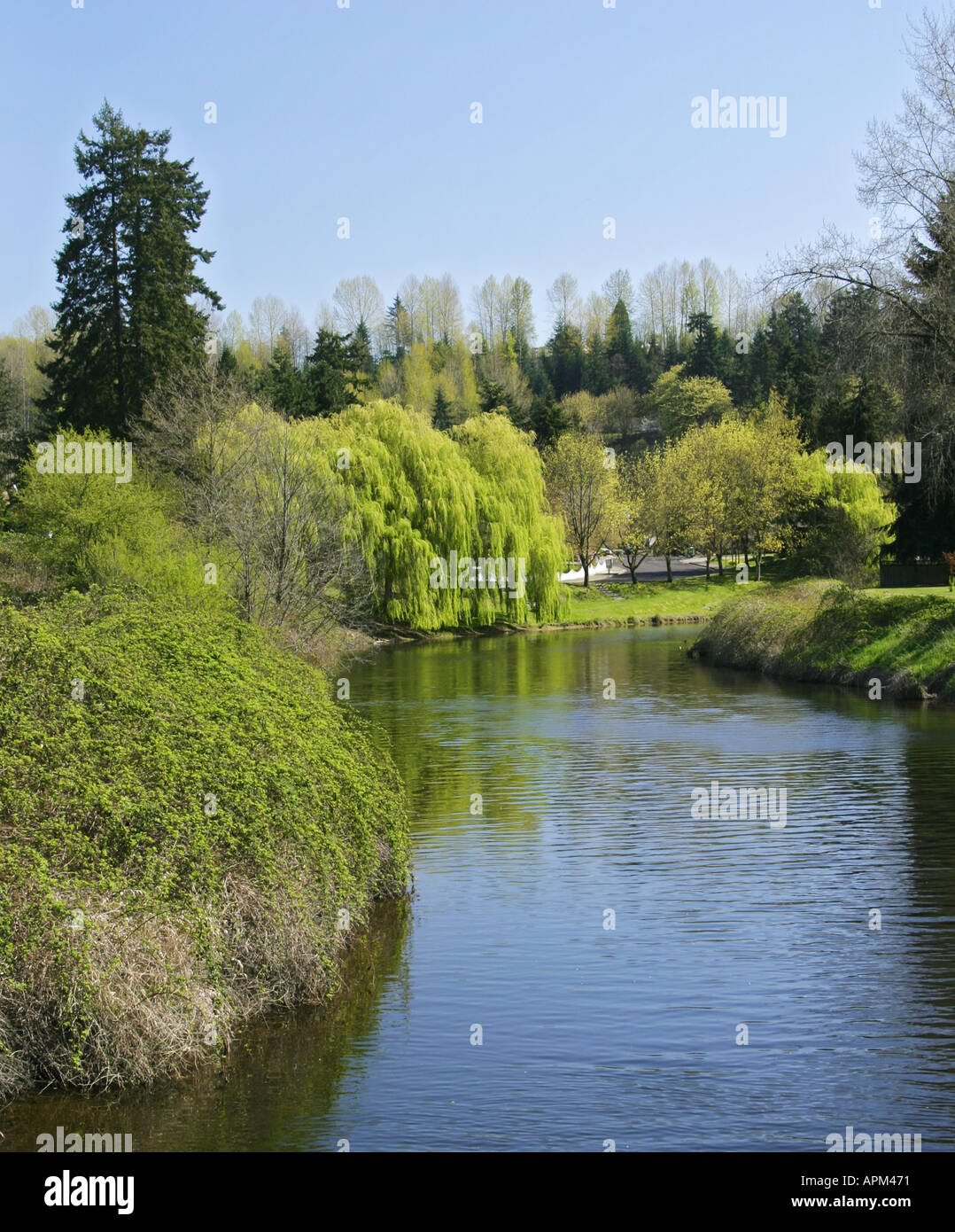 Sammamish Slough Bothell König County Washington Stockfoto