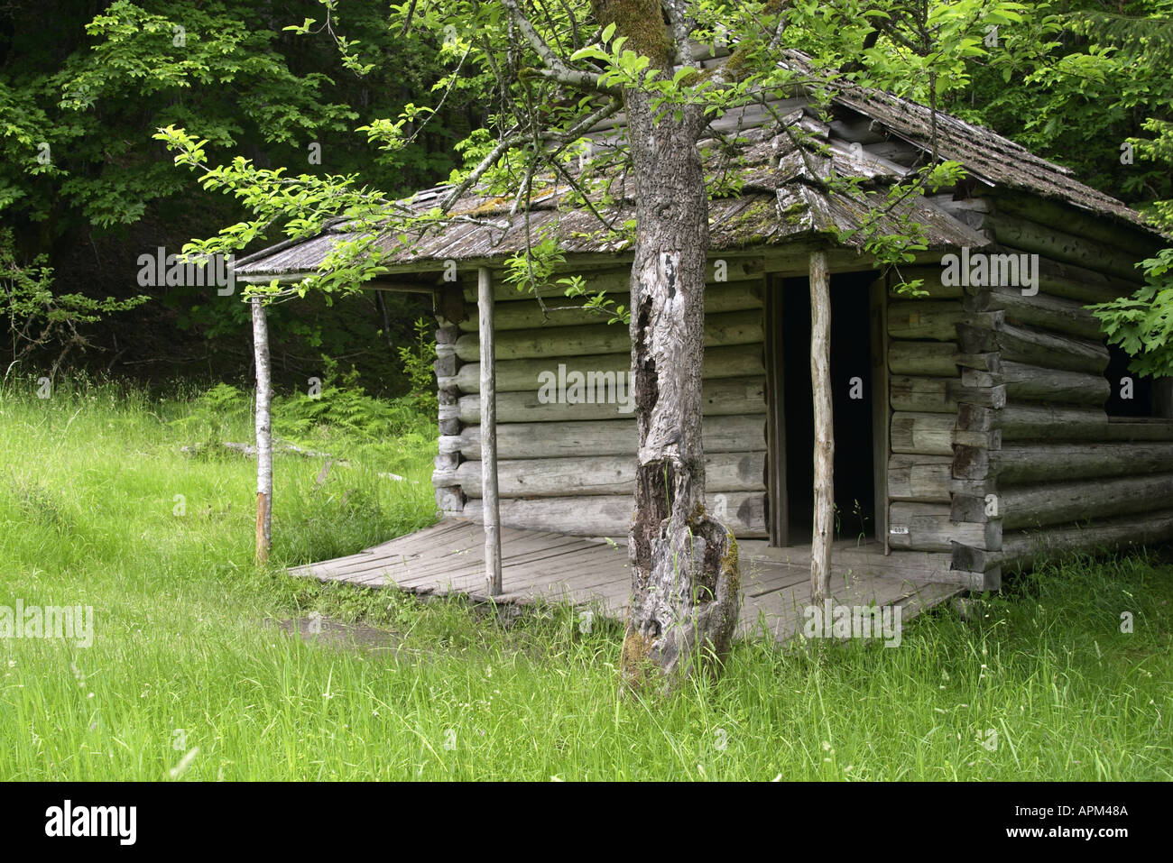 Humes Ranch Krause unten Trail Elwha Flusstal Olympic Nationalpark Olympic Peninsula Clallam County Washington USA Stockfoto
