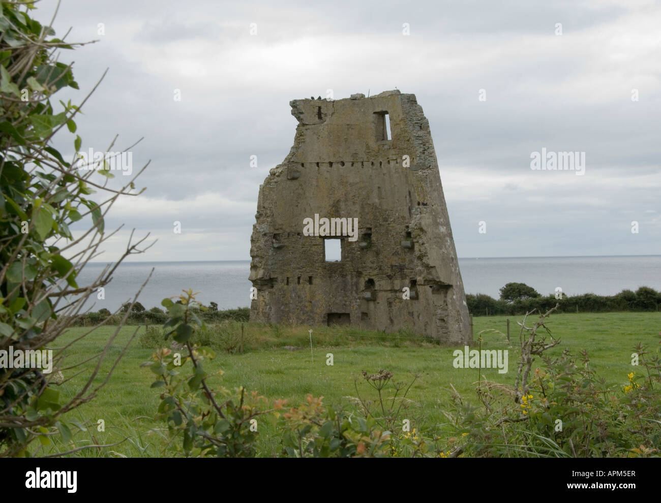 Ruine der Küste Turm Co Wexford Ireland Www Osheaphotography com Stockfoto