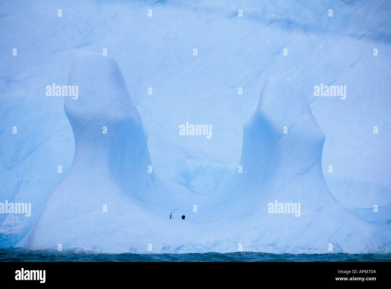 Antarktis Pinguine am Sattel geformten Eisberg Stockfoto