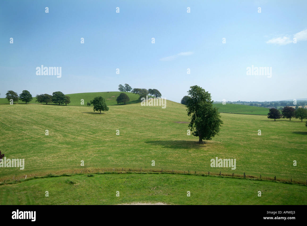 Parklandschaft Landschaft, Yorkshire Dales, Sommer 2006, Nordengland Stockfoto