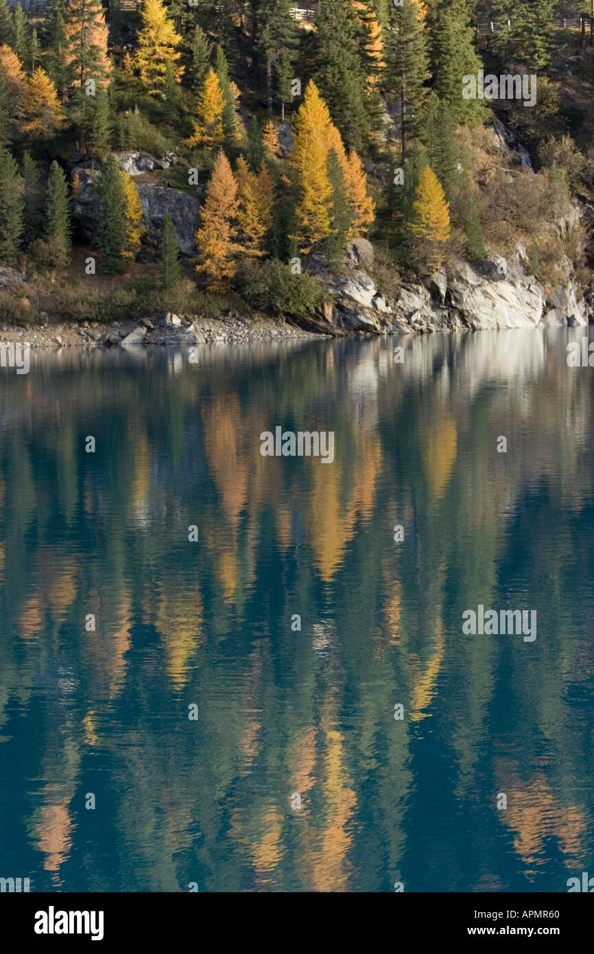 Lärche Bäume reflektierende Herbstfarben auf einem See, Martelltal, Südtirol, Italien Stockfoto