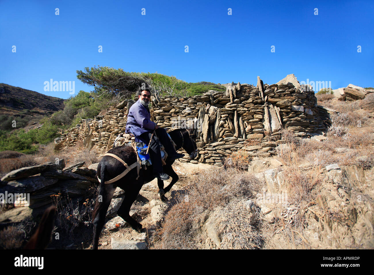 Europa Griechenland Kykladen Sikinos griechische orthodoxe Priester einen Esel reiten Stockfoto