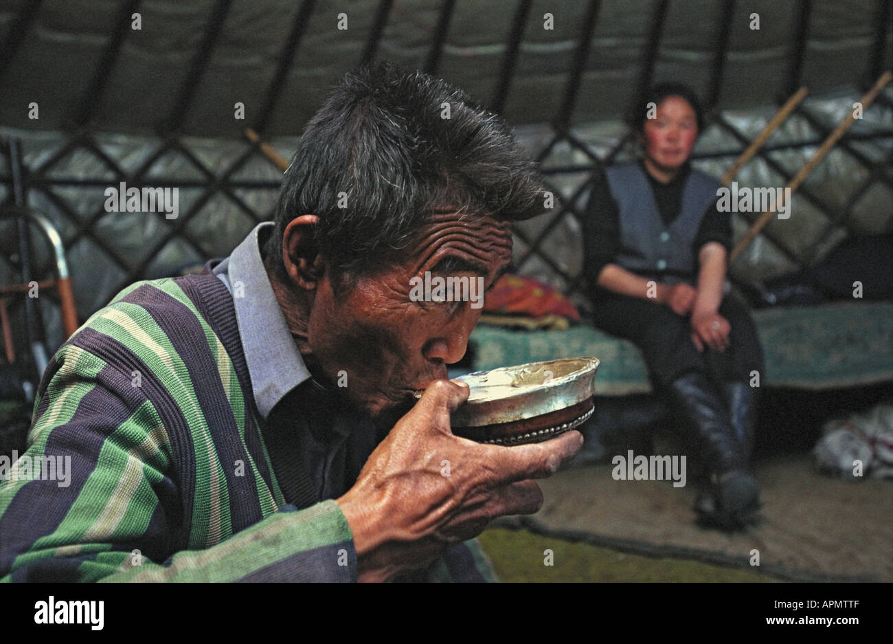 Alter Mann trinken Tee mit Salz und Yak-butter innen Jurte. Tsagaan Nuur Somon. Brigade Nummer 2. Nord-Mongolei Stockfoto
