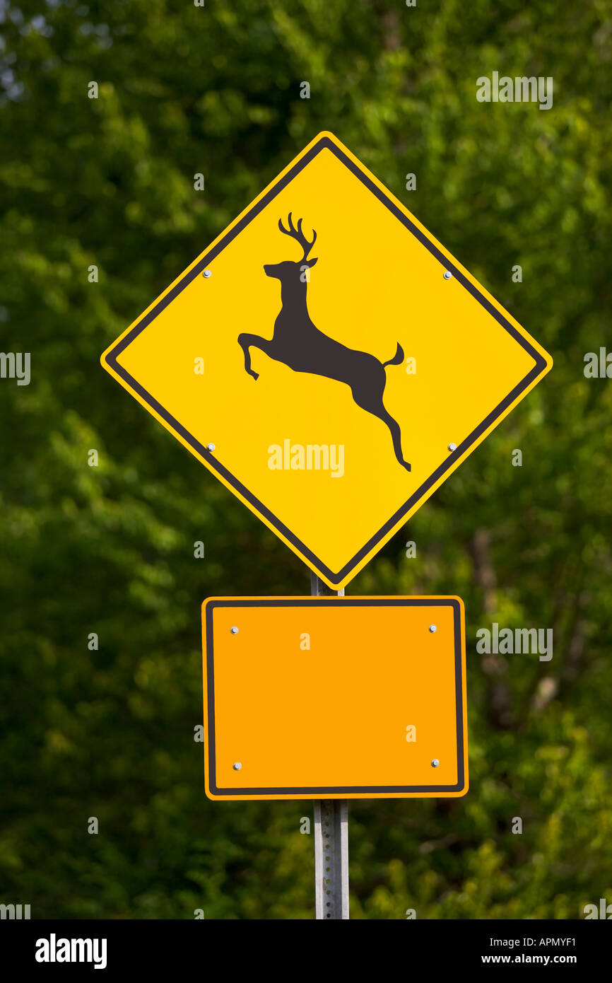 Warnschild Hirschkreuzung, gelbes Schild, Kalifornien, USA. Wilde Tiere,  die Verkehrsschilder für sicheres Fahren auf der Straße aufbringen. Schutz  der Tierwelt vor Autos im Wald des Yosemite Nationalparks. Roadtrip-Konzept  Stockfotografie - Alamy