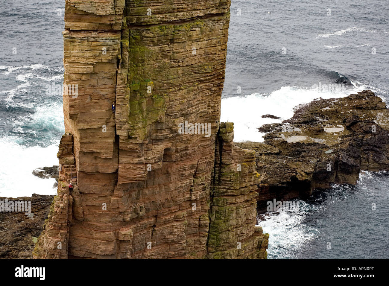 The Old Man of Hoy Orkney Inseln Schottland Klettern Stockfotografie - Alamy