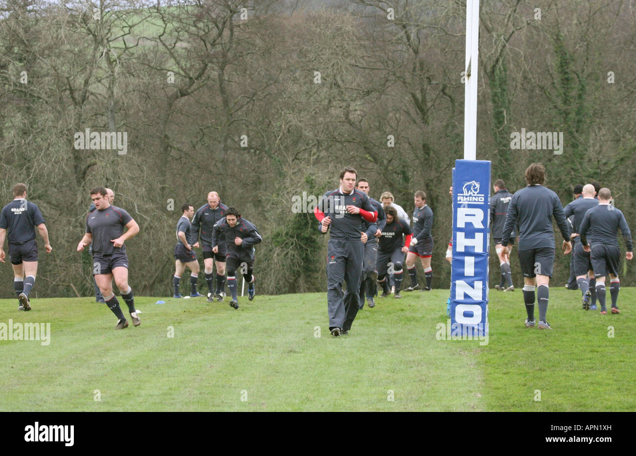 Hensol Vale von Glamorgan South Wales GB UK 2008 Stockfoto