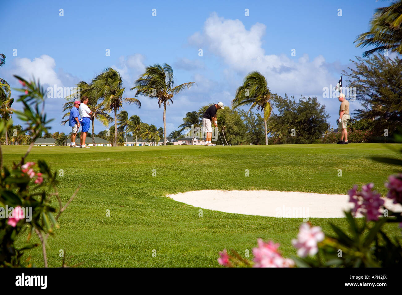 Fabelhafte Golfplatz im Marriot Hotel in Frigate Bay Stockfoto