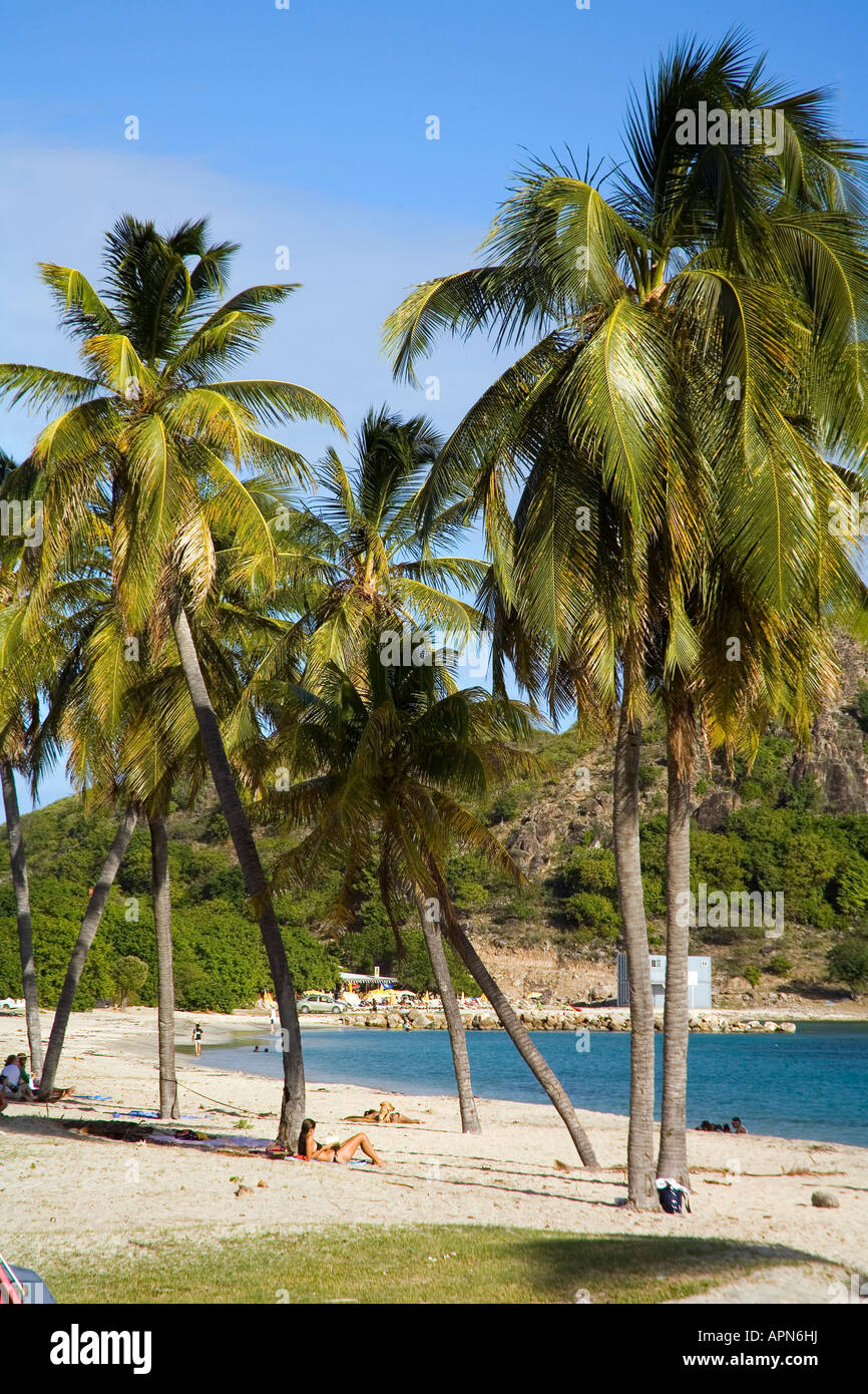 Kleine Muschel Bay Turtle Beach auf St. Kitts in der Karibik Stockfoto