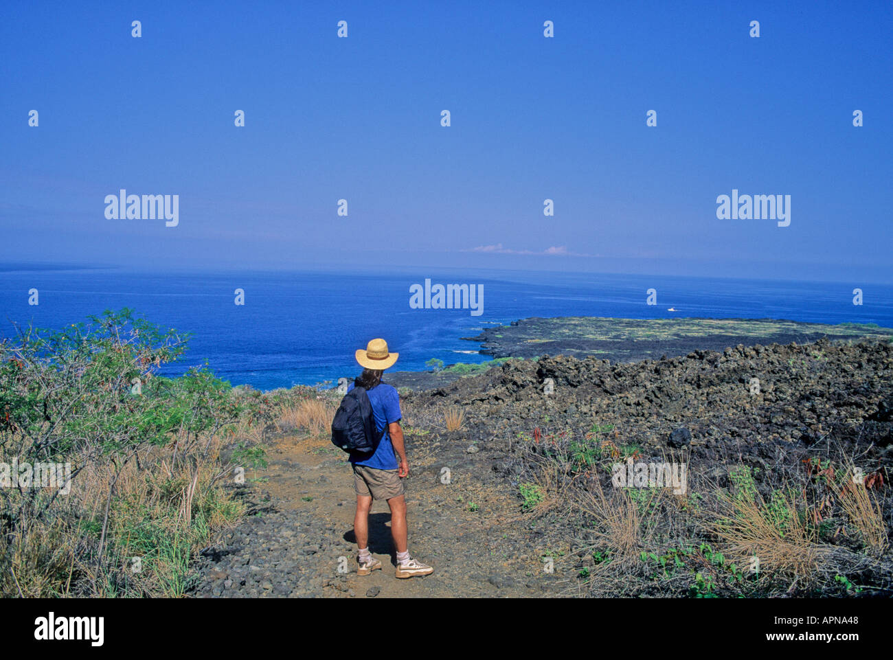 Wanderer sieht Meerblick auf der Fuß-Weg führt zum Captain Cook Monument auf der Big Island, wo das Schnorcheln beliebt ist Stockfoto