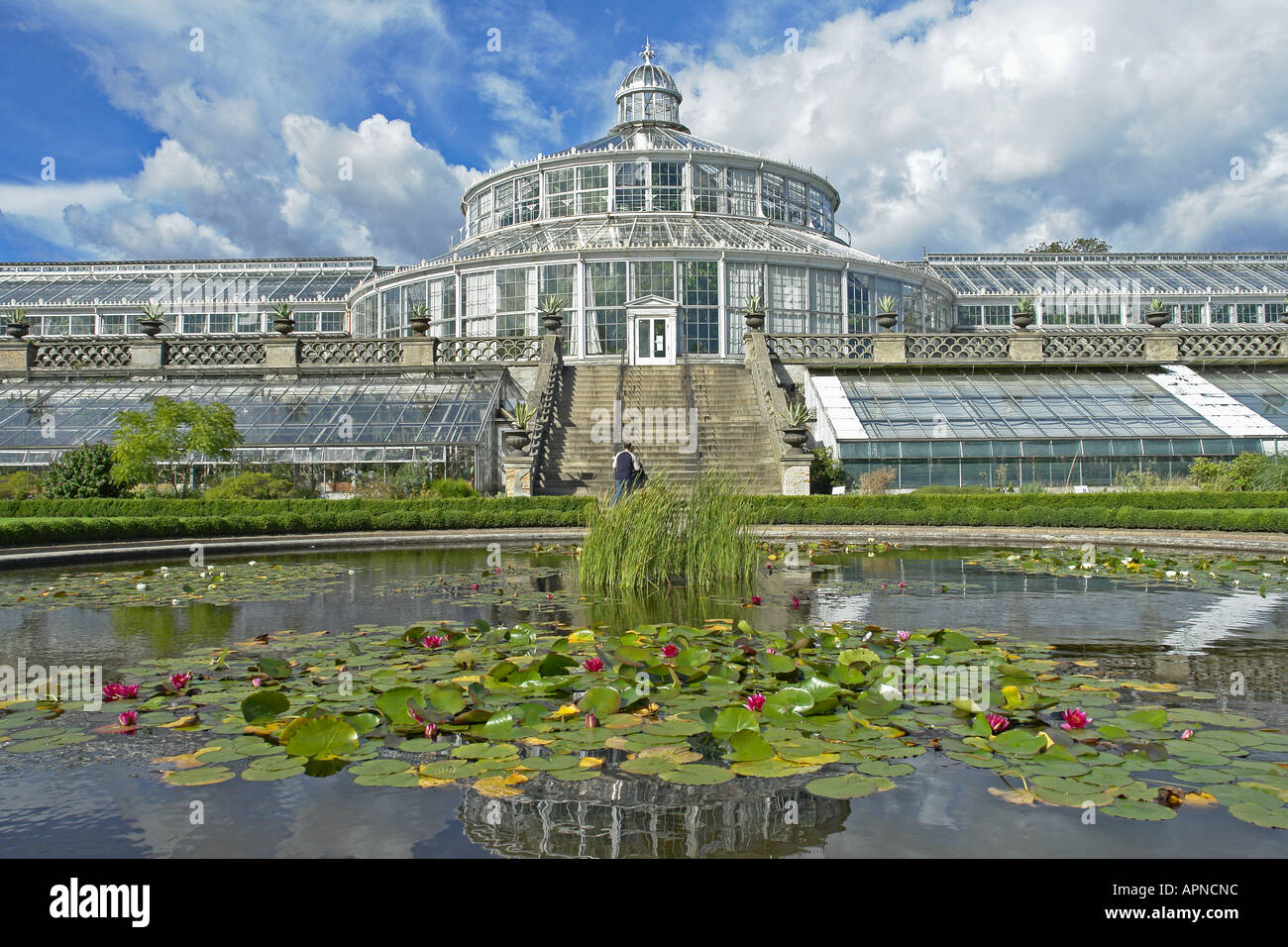 Das Beeindruckend Grosse Palmenhaus Im Botanischen Garten Und Museum Kopenhagen Konfrontiert Durch Einen Schonen Kunstlichen Teich Stockfotografie Alamy