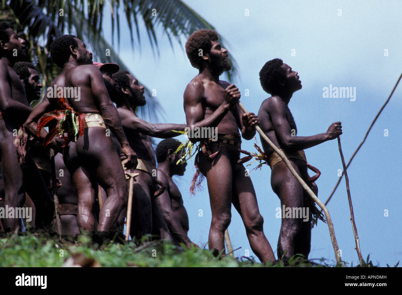 Pazifik, Vanuatu, Pfingsten Insel, einheimische Inselbewohner beobachten die traditionellen Pfingsten Land Tauchen oder N'gol Stockfoto