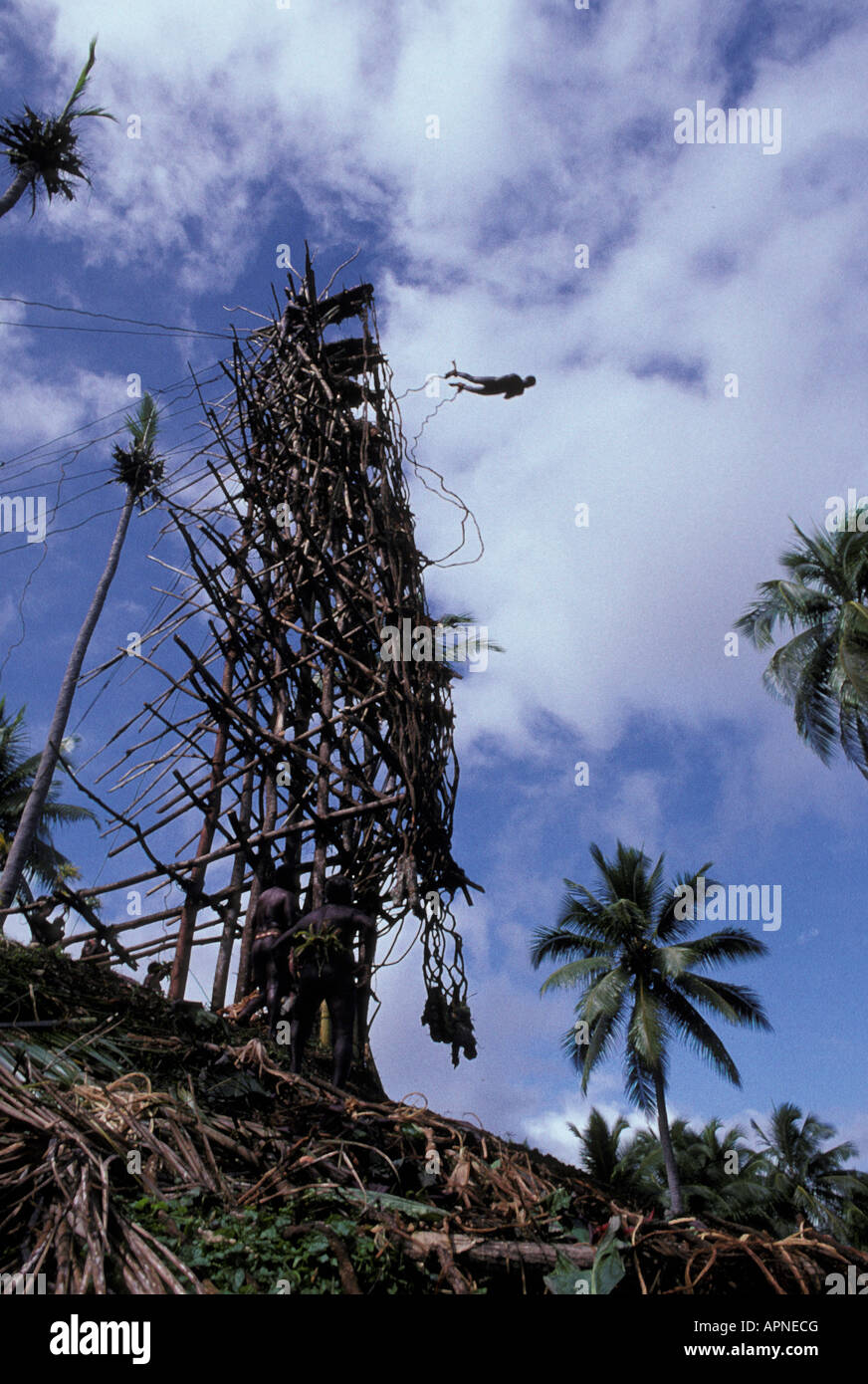 Pazifik, Vanuatu, Pfingsten Insel, Native Islander Plattform abspringen Stockfoto