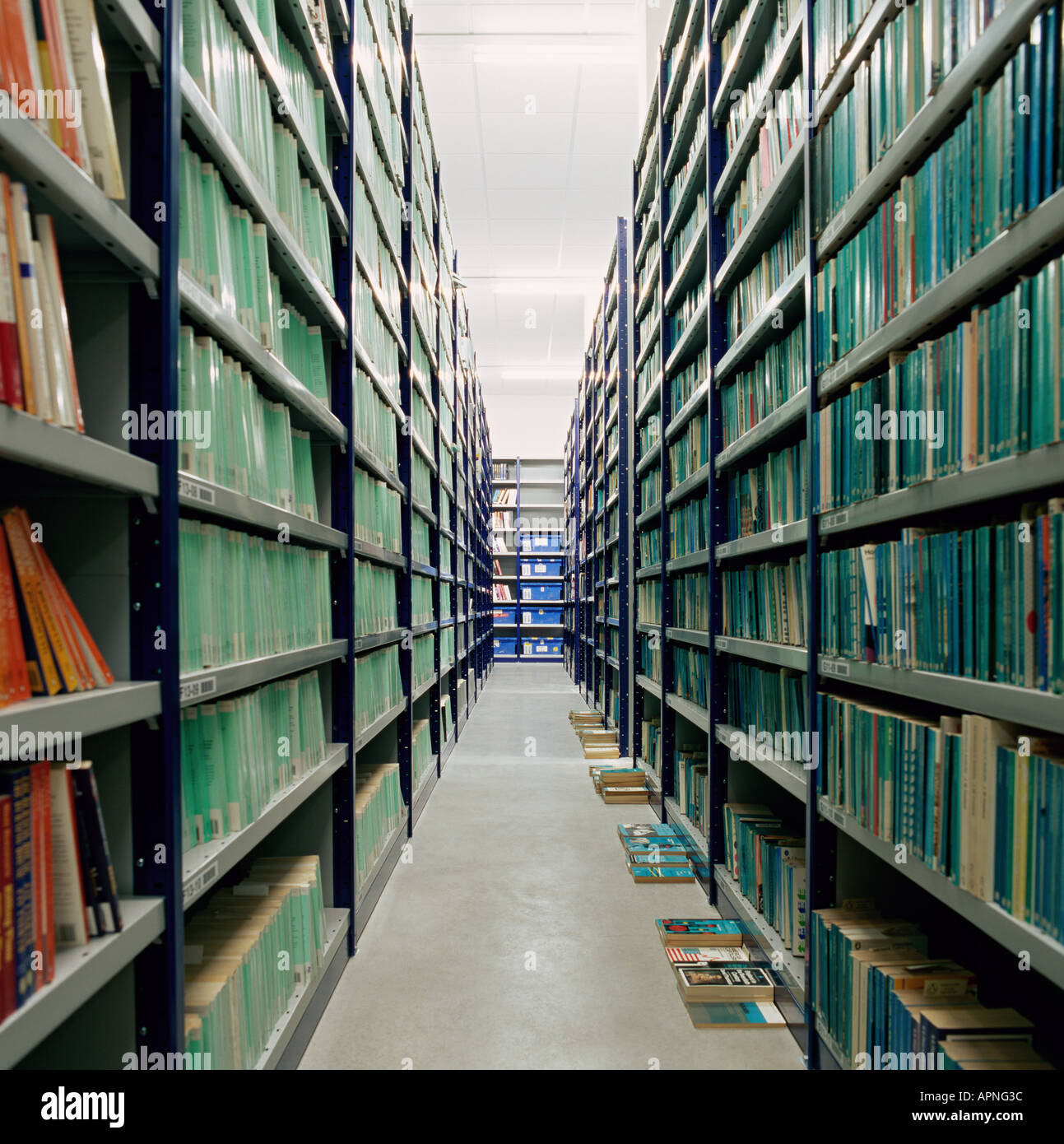 Bücher in einem Archiv Stockfoto
