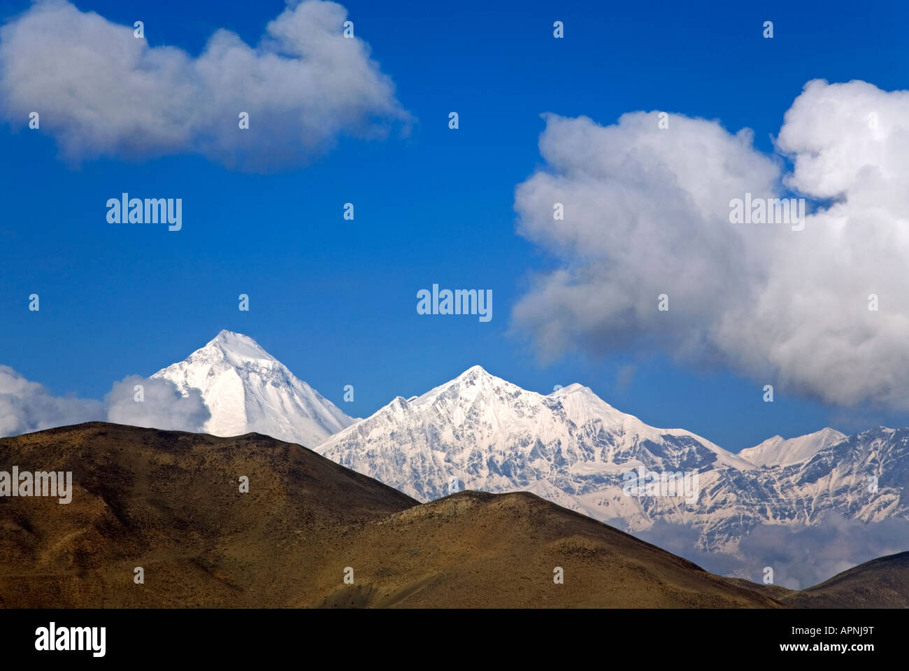 Mount Dhaulaghiri Nilgiri North (7061m) und links (8167m). Blick von Muktinath Tempel. Mustang. Nepal Stockfoto