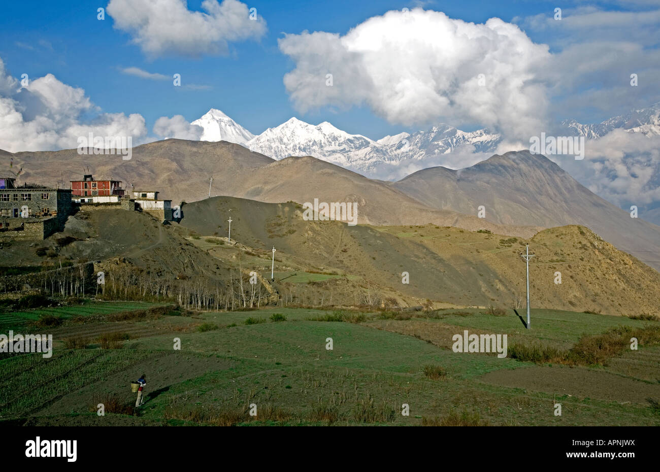 Dhaulaghiri Gipfel (8167m) auf der linken und Nilgiri North (7061m). Blick vom Ranipauwa Dorf. Mustang. Nepal Stockfoto