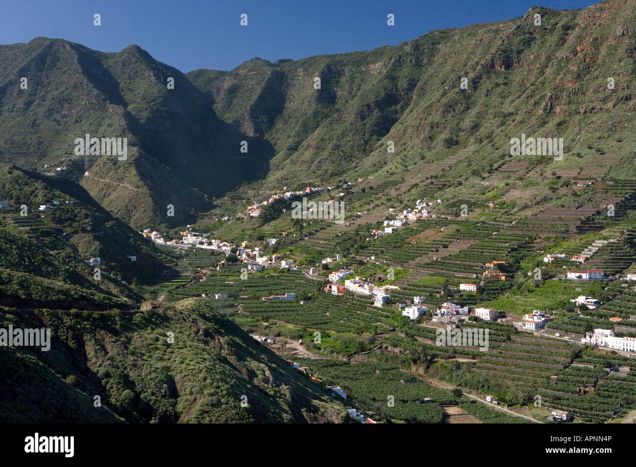 Spanien, Kanarische Inseln, La Gomera, Blick auf das Tal von Hermigua ist bekannt für seine Bananenplantage Stockfoto