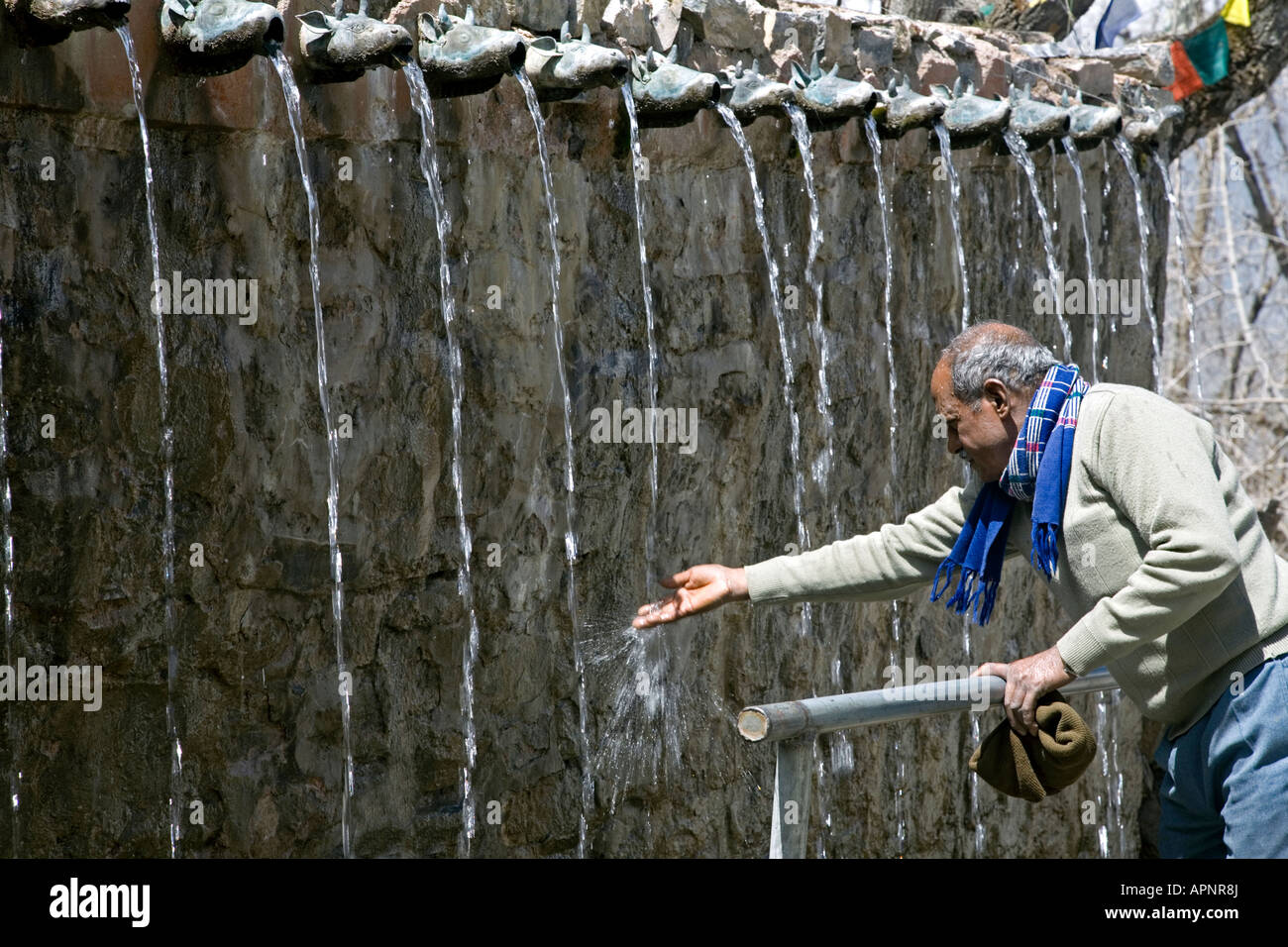 Mann berühren das Wasser an einer der 108 Bull Gesicht Wasserhosen. Muktinath-Tempel. Annapurna Circuit Trek. Mustang. NEPA Stockfoto