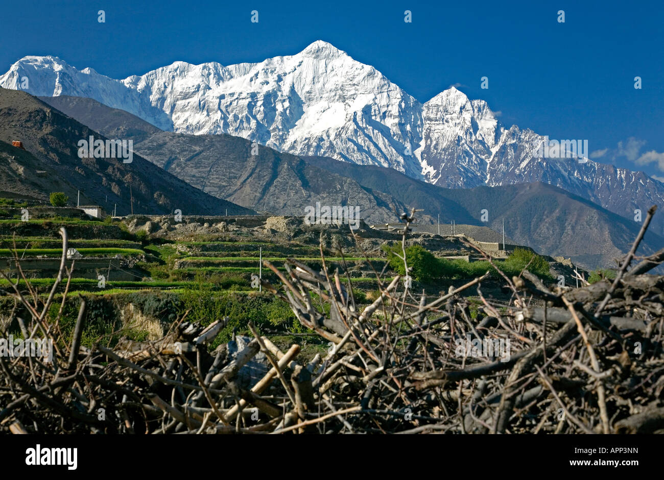 Nilgiri Nord (7061m). Blick von Kagbeni Dorf. Annapurna Circuit Trek. Mustang. Nepal Stockfoto