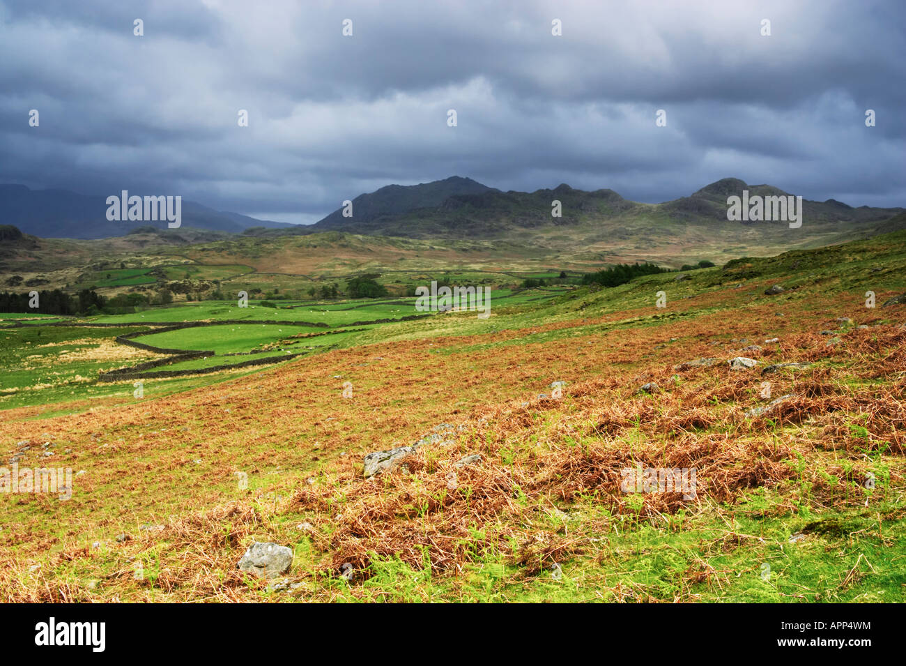 Entfernten Ackerland auf Birker fiel in der Nähe von Ulpha in der Lake District National Park, England. Stockfoto