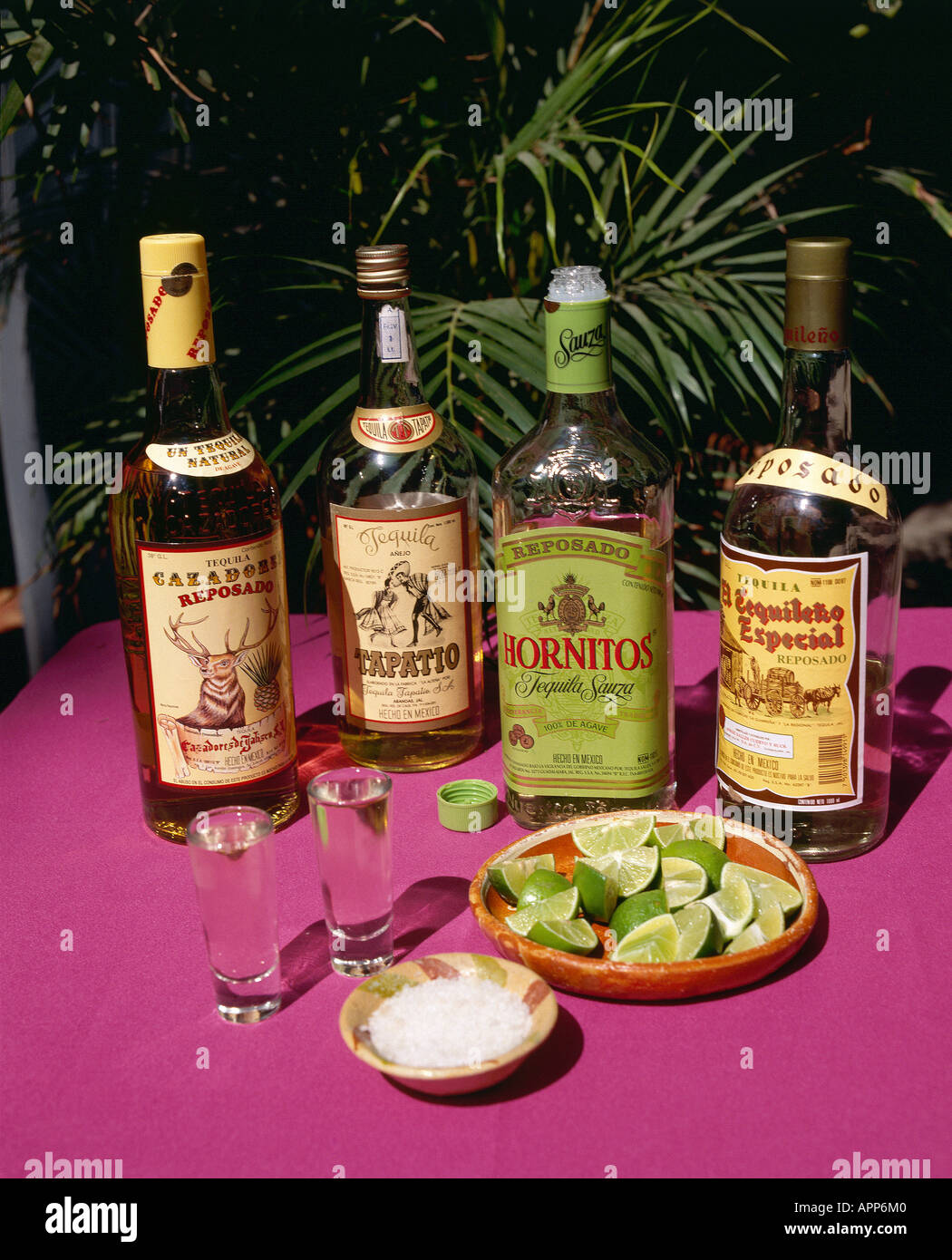 Diverse verschiedene Flaschen Tequila aus der blauen Maguey-Kaktus mit zwei  Schnapsglser neben einer Schssel Salz und Keile der limes der  traditionellen Methode des Trinkens Aufnahmen von Mexiko s Nationalgetrnk  Salz Tequila lime