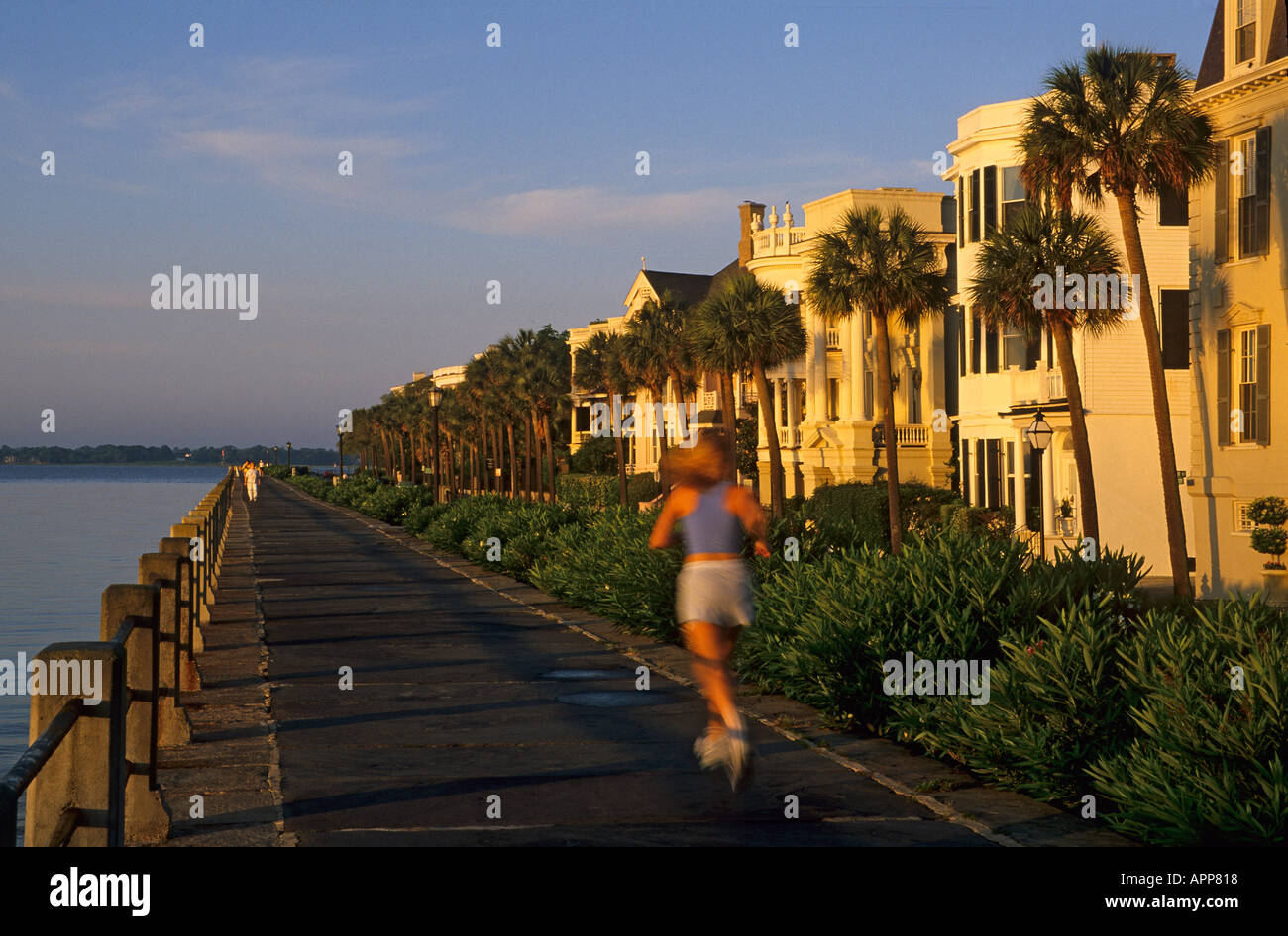 South Carolina Charleston The Battery Ufermauer am frühen Morgen weibliche jogger Stockfoto