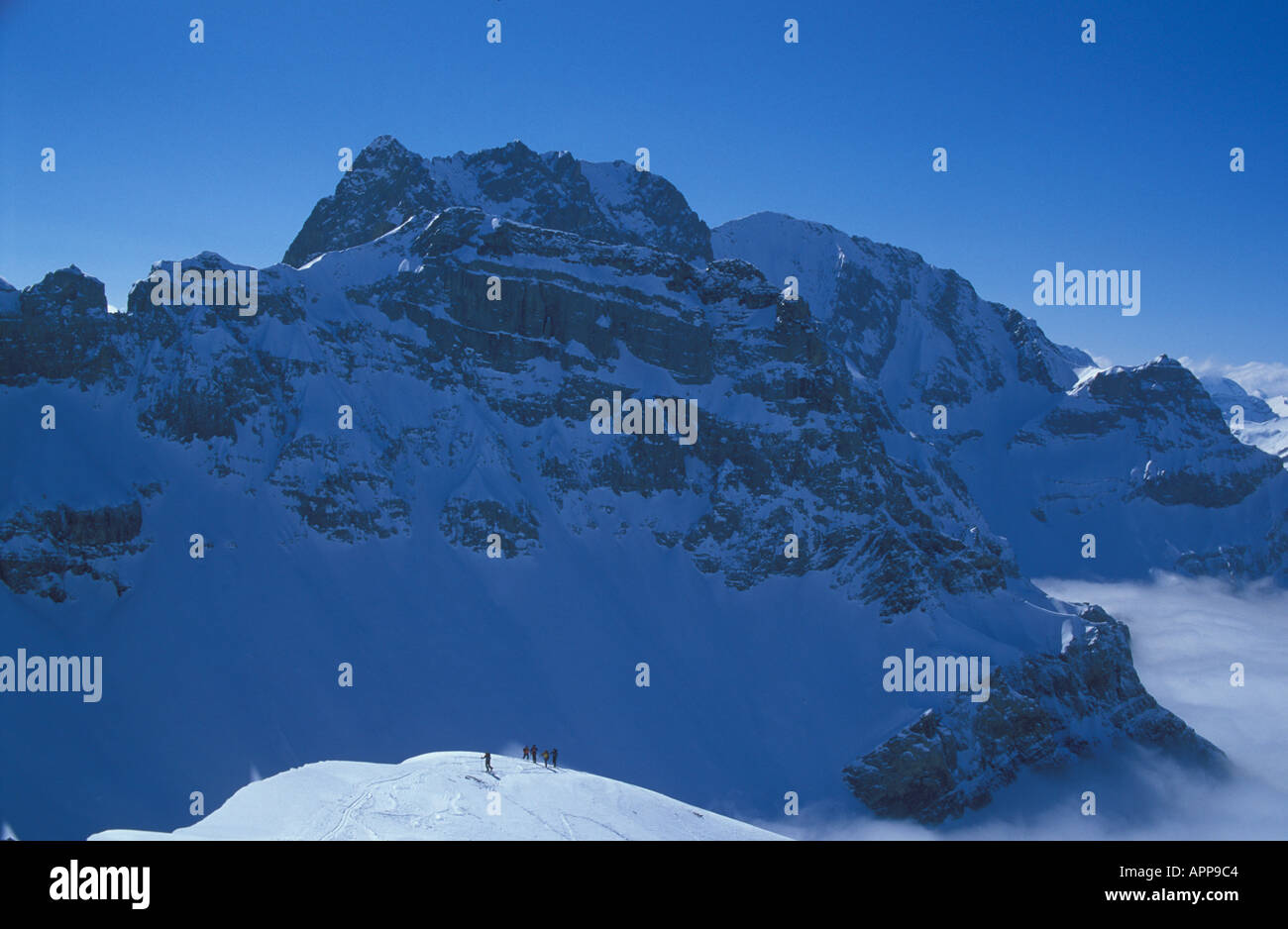 Ski-Aufstieg zum Bunderspitz 2546 m mit Hoher Lohner Bergwinter über Adelboden Berner Alpen der Schweiz Stockfoto