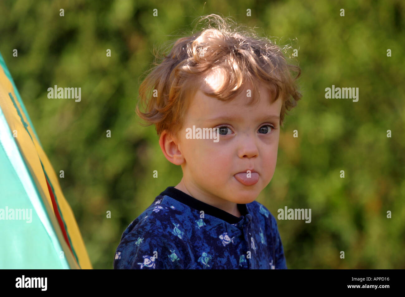 Lewis im Alter steckt drei seine Zunge heraus, während im Garten Stockfoto