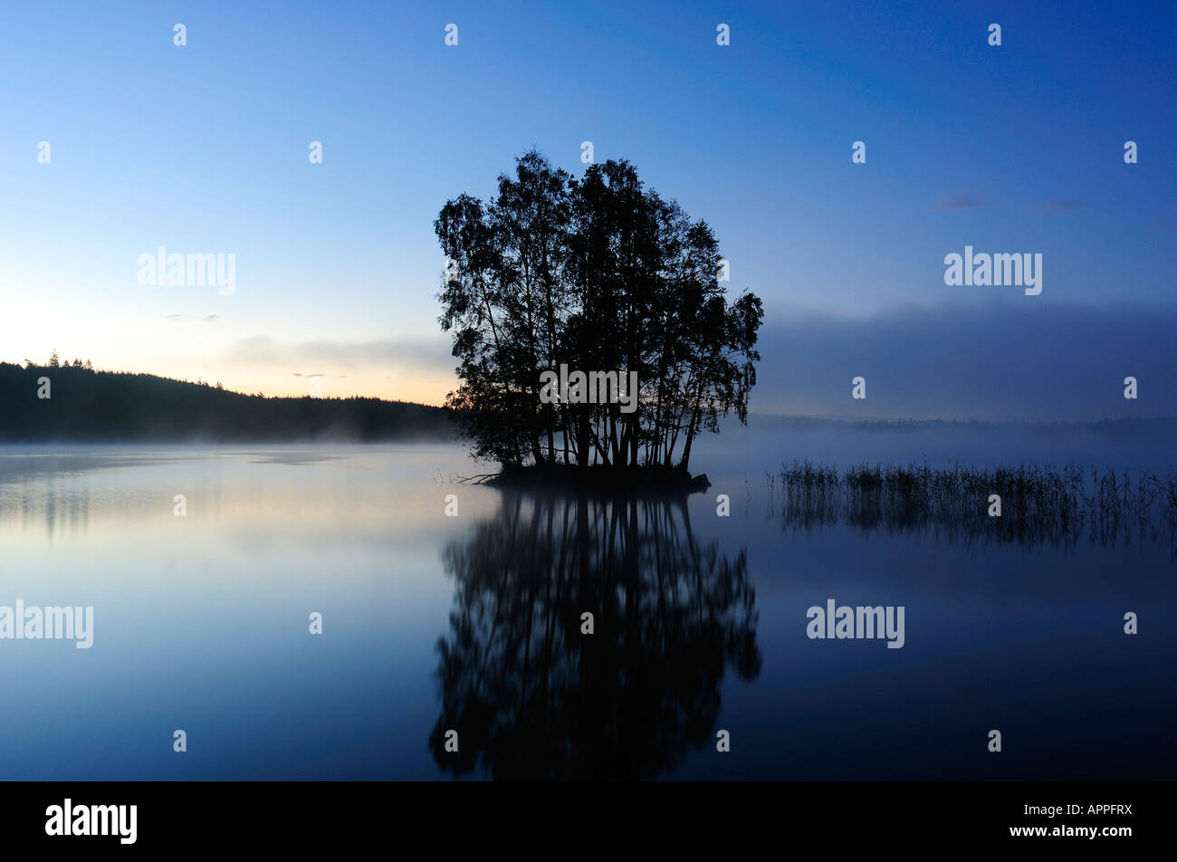 Eine kleine Insel im See Finnsjön in einem frühen Herbst Nebel Stockfoto