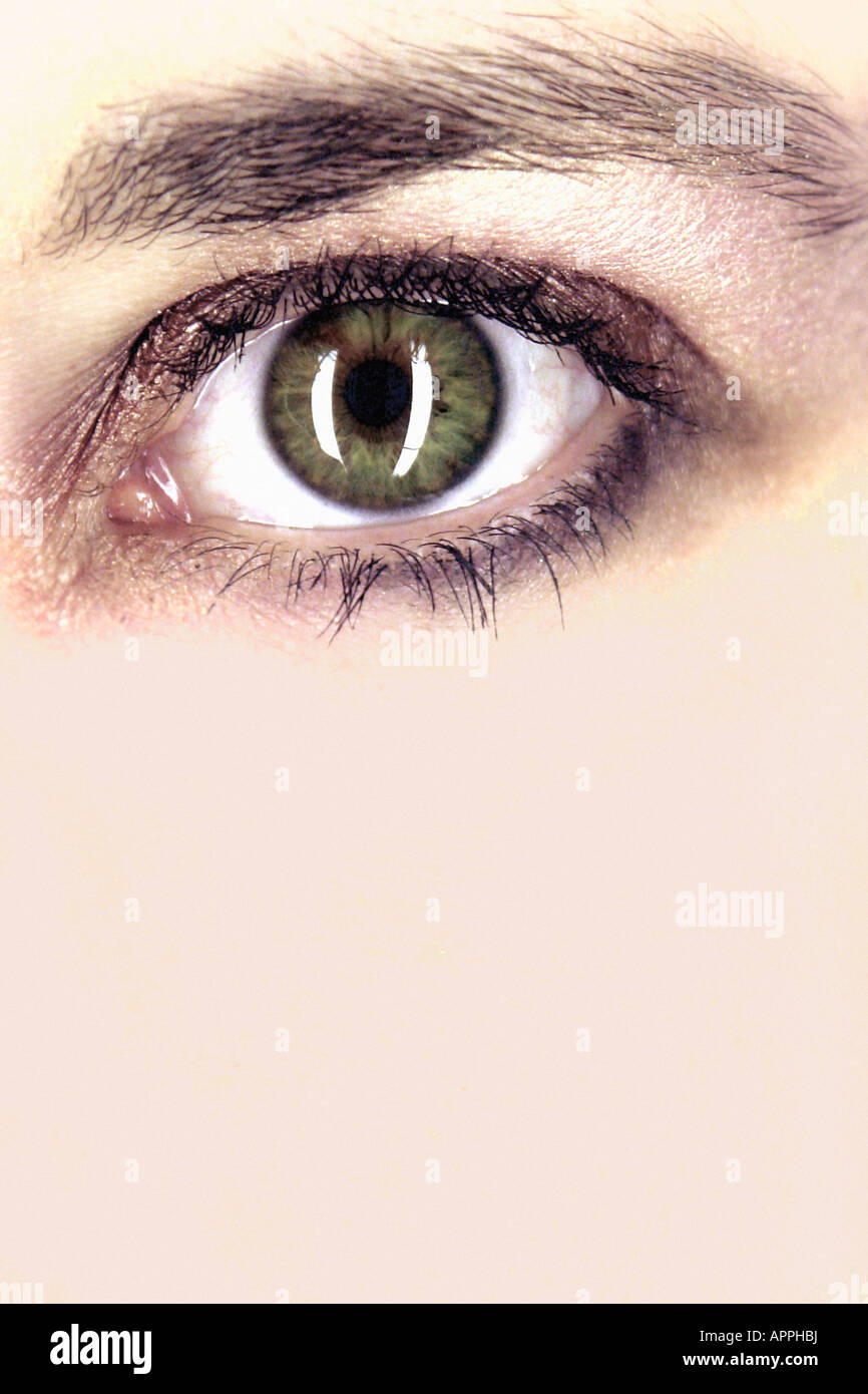Extreme Nahaufnahme Foto von einer Frau grüne linke Auge sie ist tragen Smokey Eye Shadow Make-up Textfreiraum Stockfoto