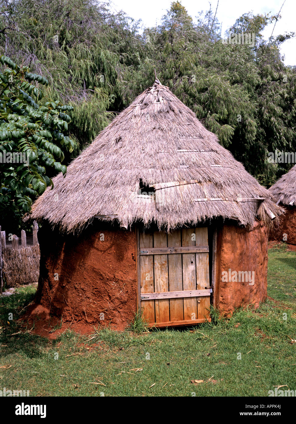 Kleiner Runde strohgedeckte Lehmhütte in Tiergarten Perth Western Australia Stockfoto