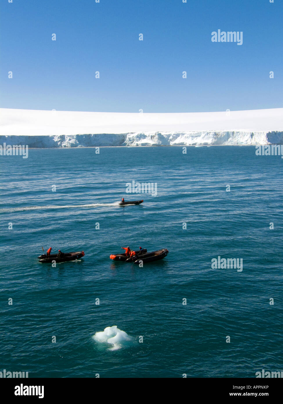 Zodiacs aus Livingston Insel Süd-Shetland-Inseln der Antarktis Stockfoto