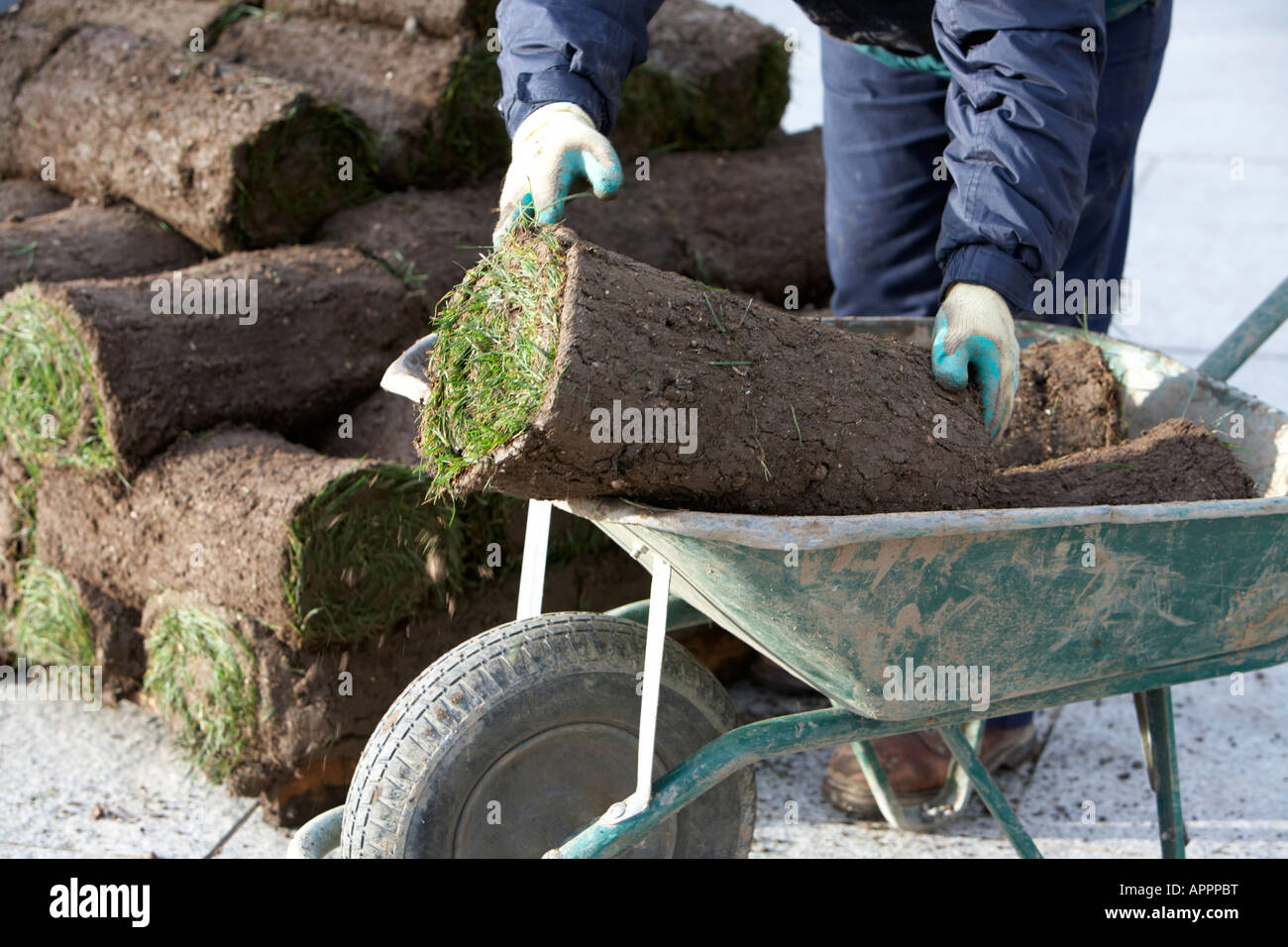 Gärtner laden rollt Rasen Gras von einer Palette auf eine Schubkarre Belfast Nordirland Vereinigtes Königreich Stockfoto