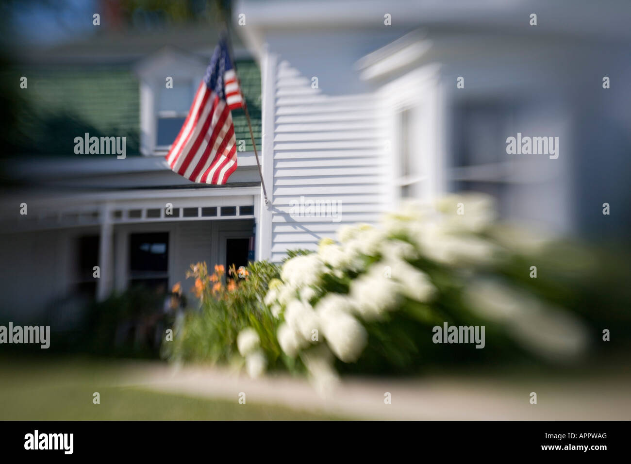 Undeutliches Bild des weißen Schindeln Haus Maine USA Neuengland mit amerikanischen Flagge und Hortensie Blumen Stockfoto