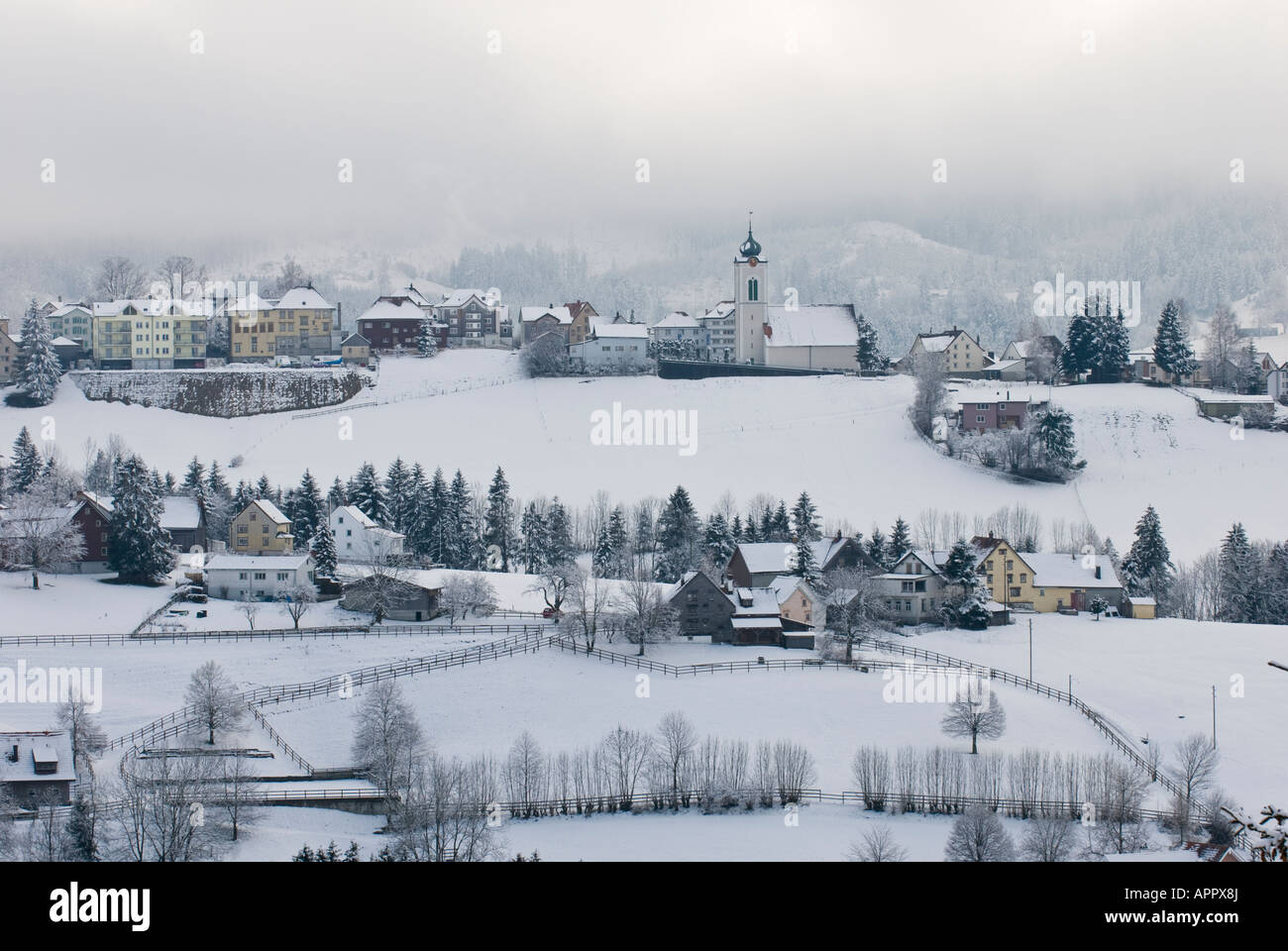 Winterlandschaft, Wald Appenzell Ausserrohden Schweiz Stockfoto