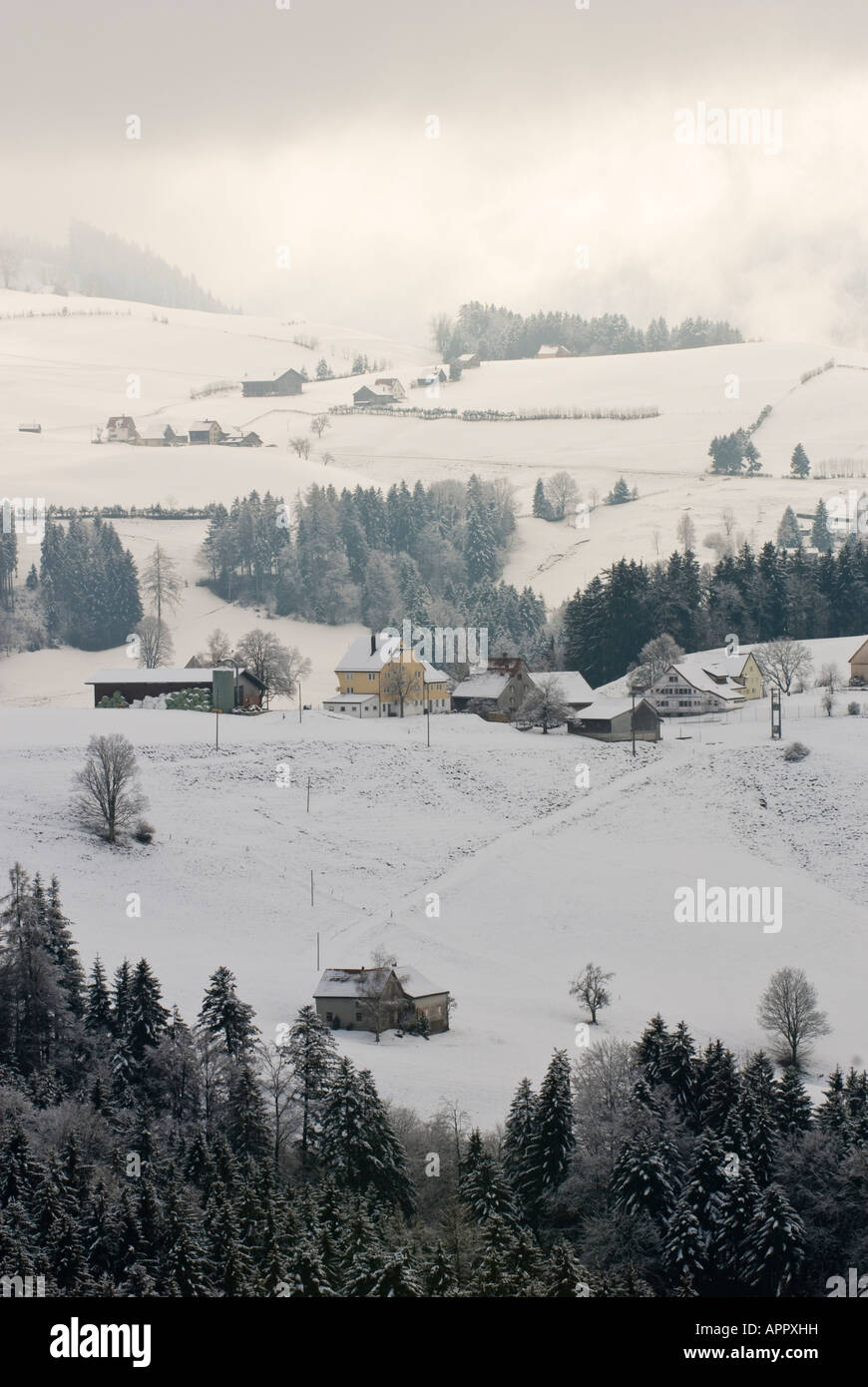 Winterlandschaft, Appenzell Ausserrohden Schweiz Stockfoto